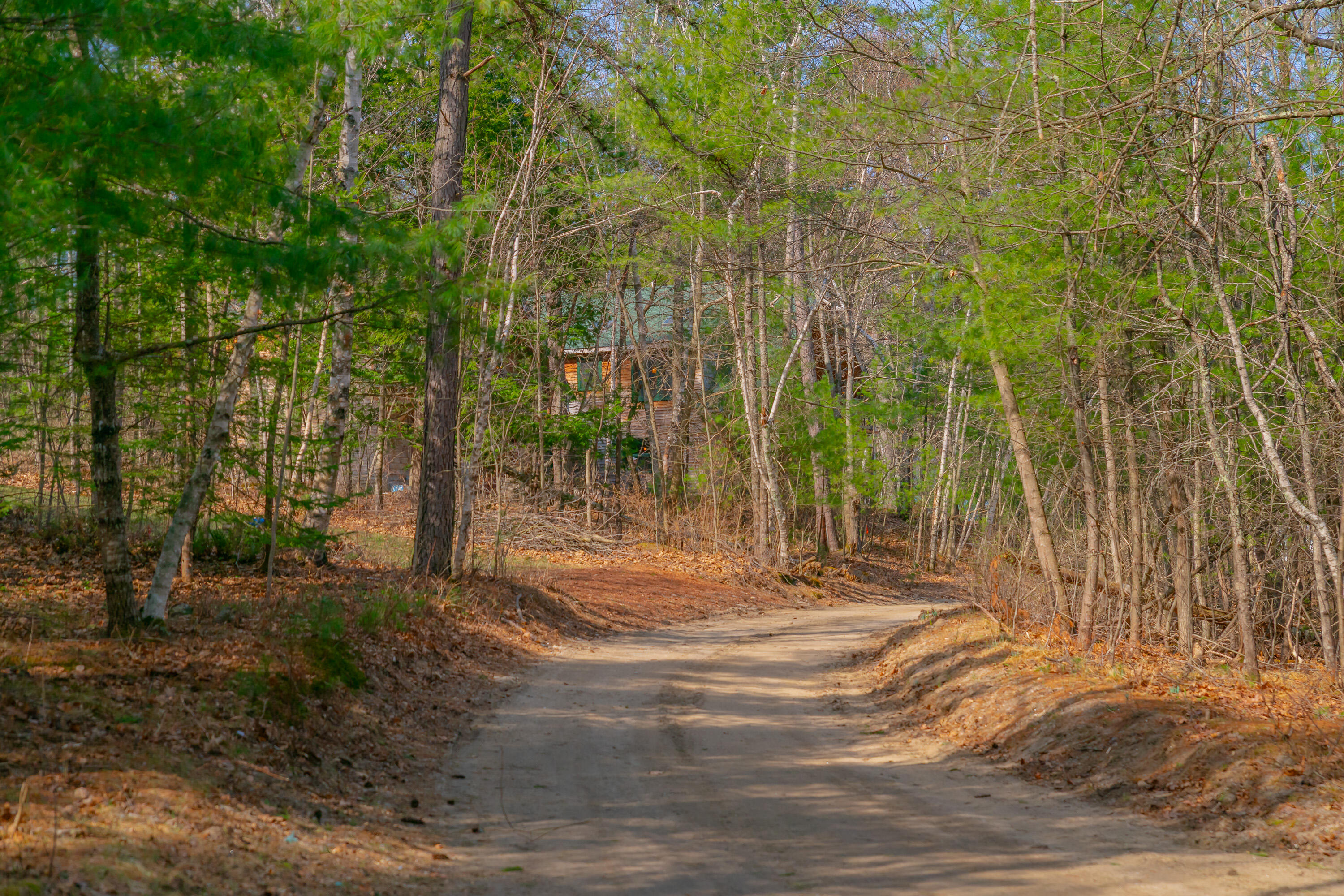 31 Dorothy Drive