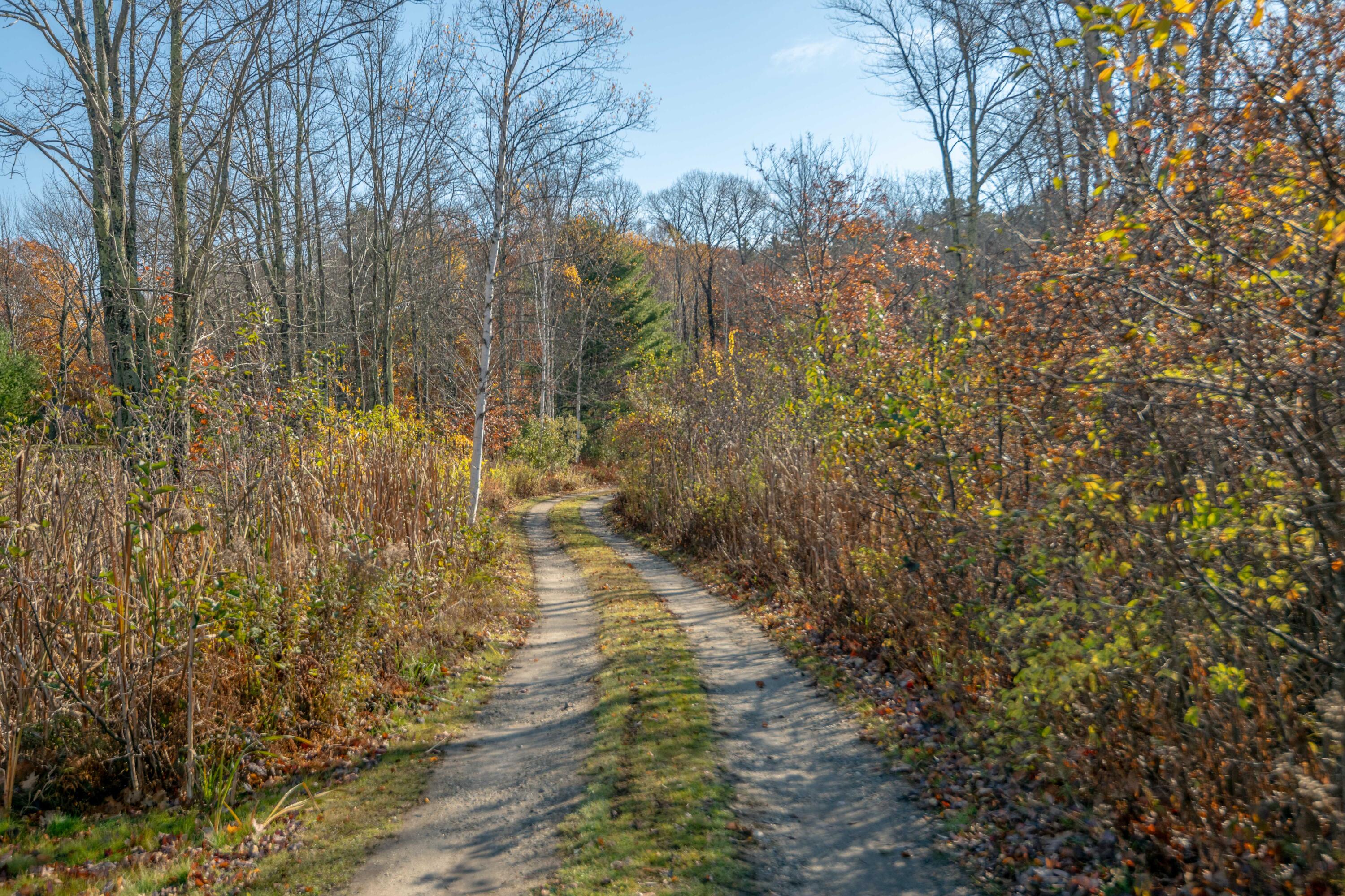 Lot 2 Buxhill Boulevard