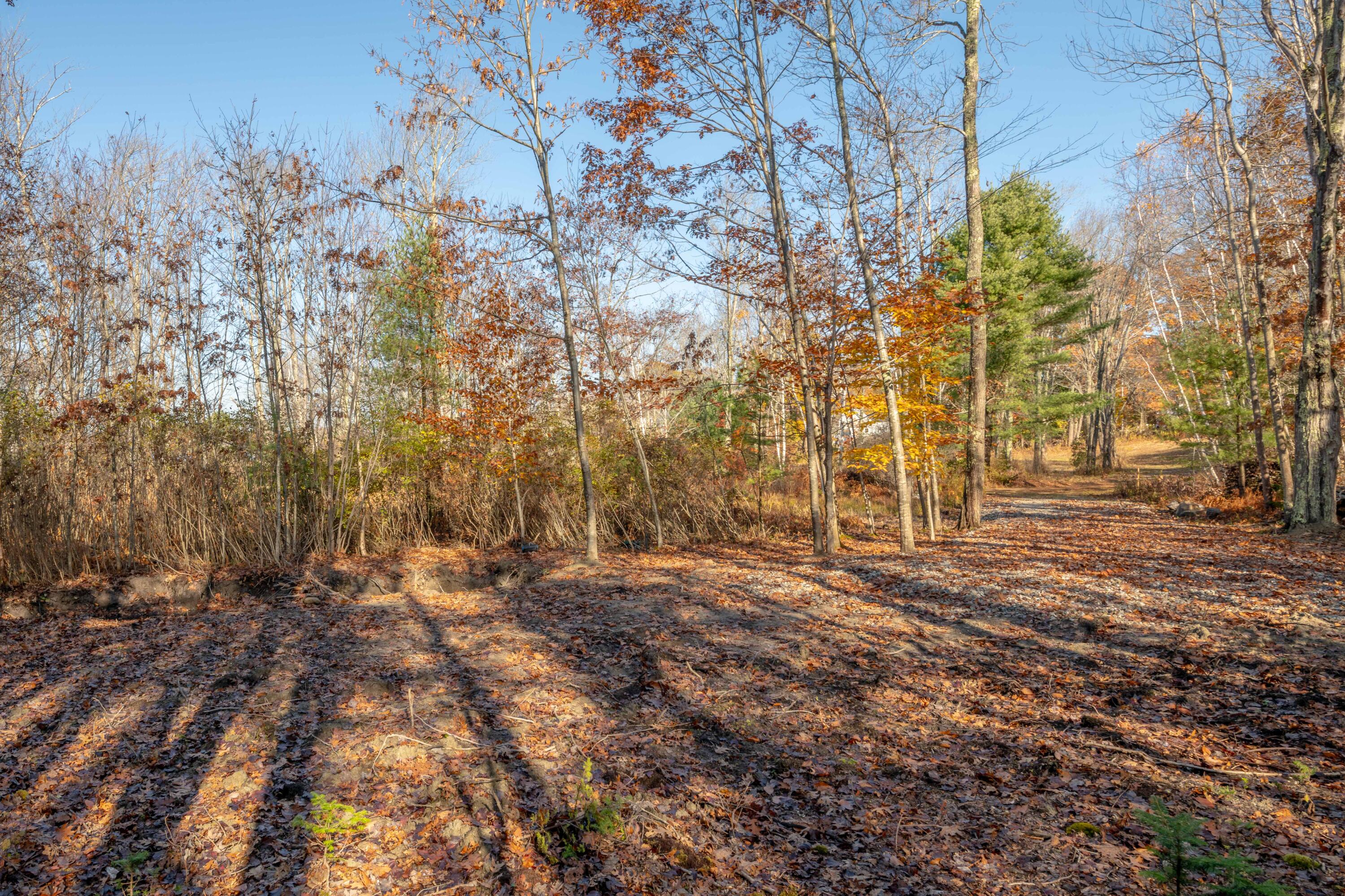 Lot 2 Buxhill Boulevard