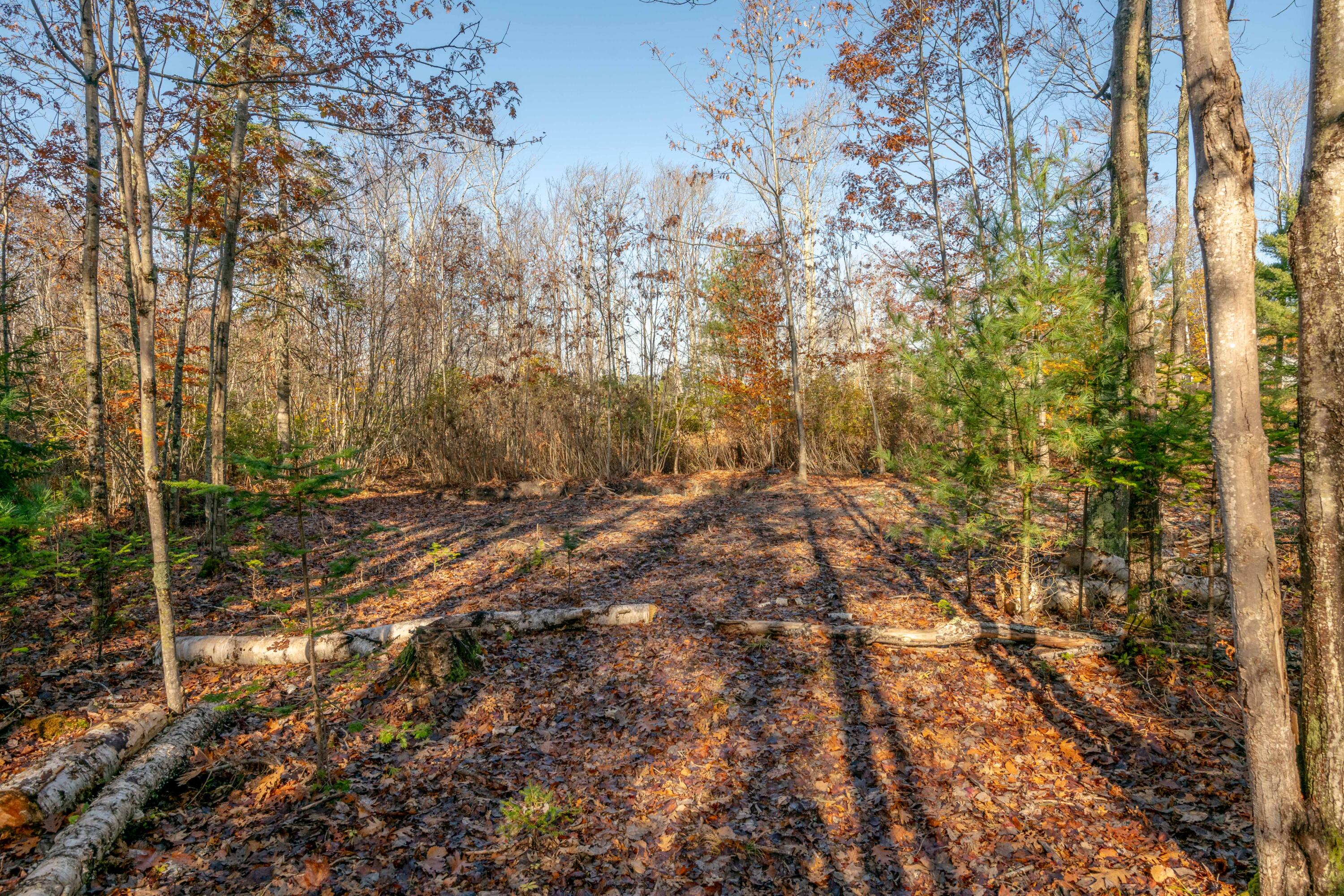 Lot 2 Buxhill Boulevard