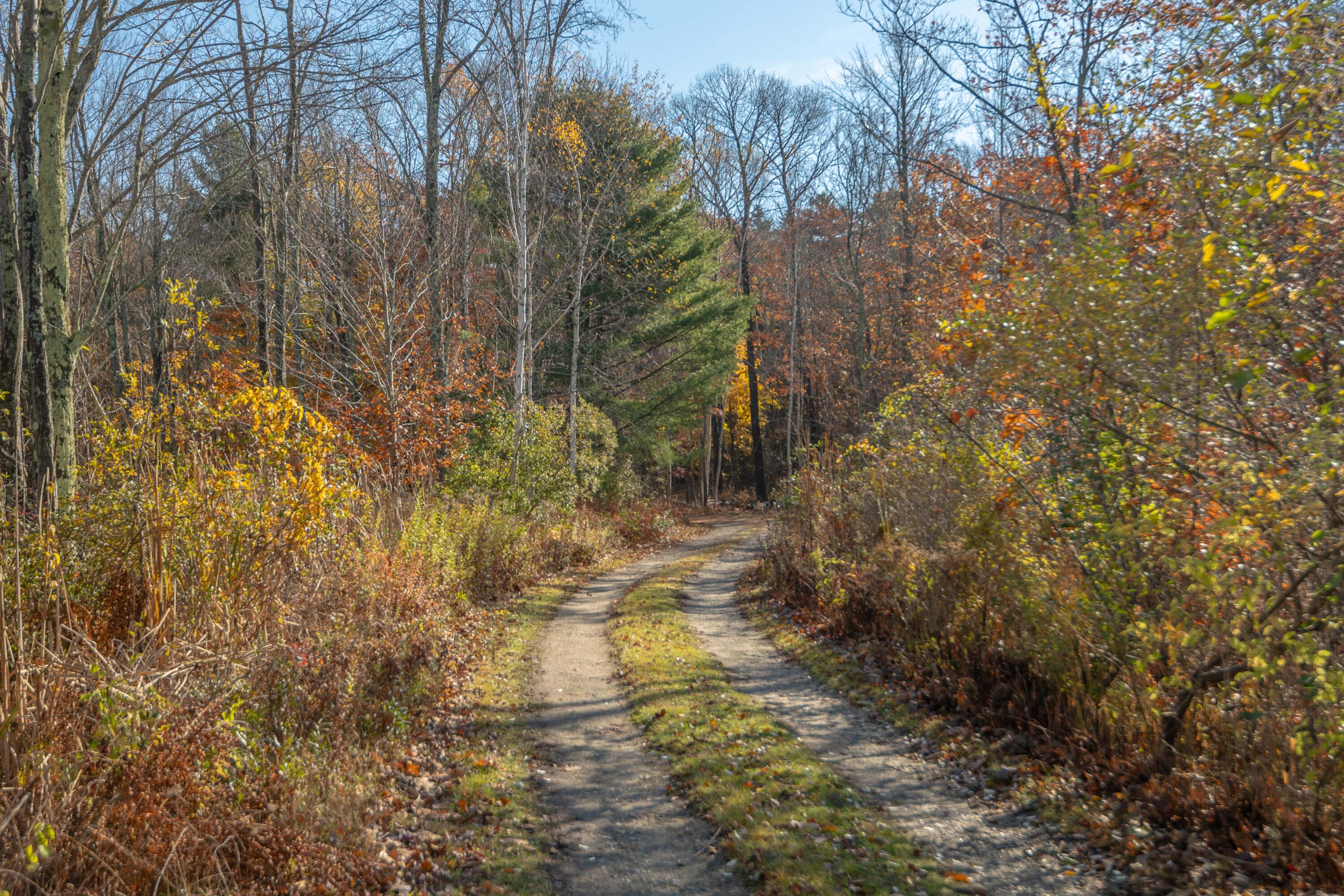 Lot 2 Buxhill Boulevard