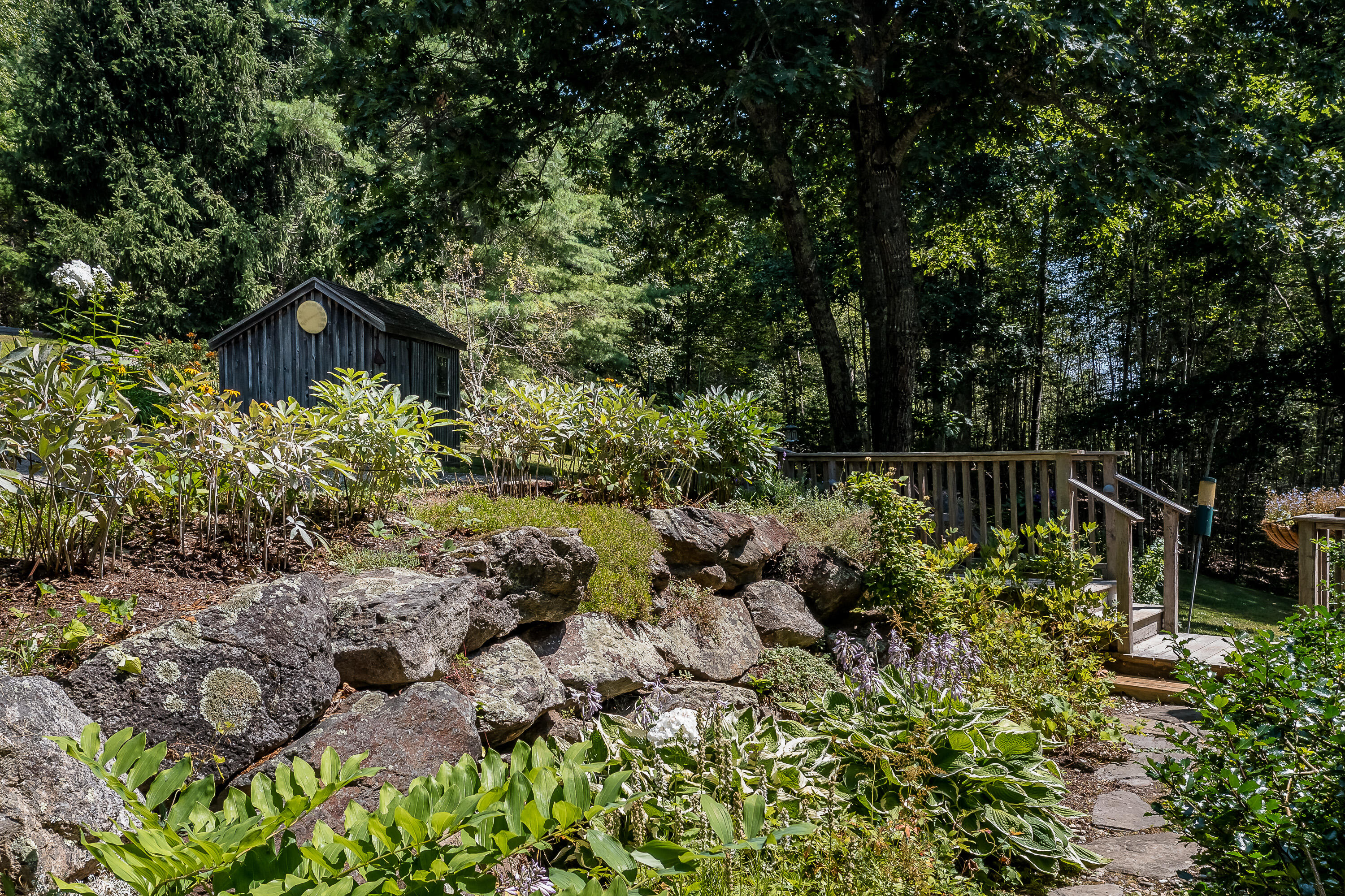 24 White Tail Drive