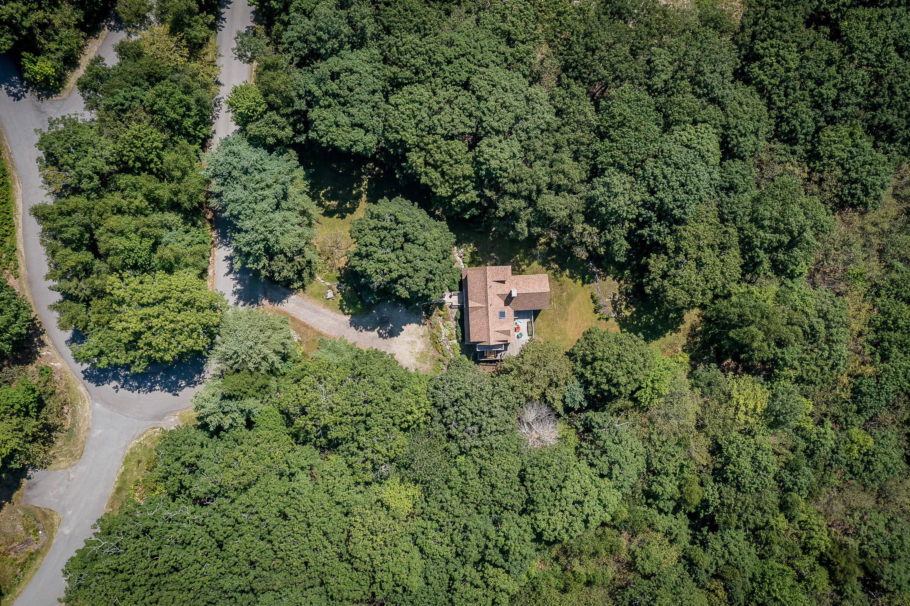 24 White Tail Drive