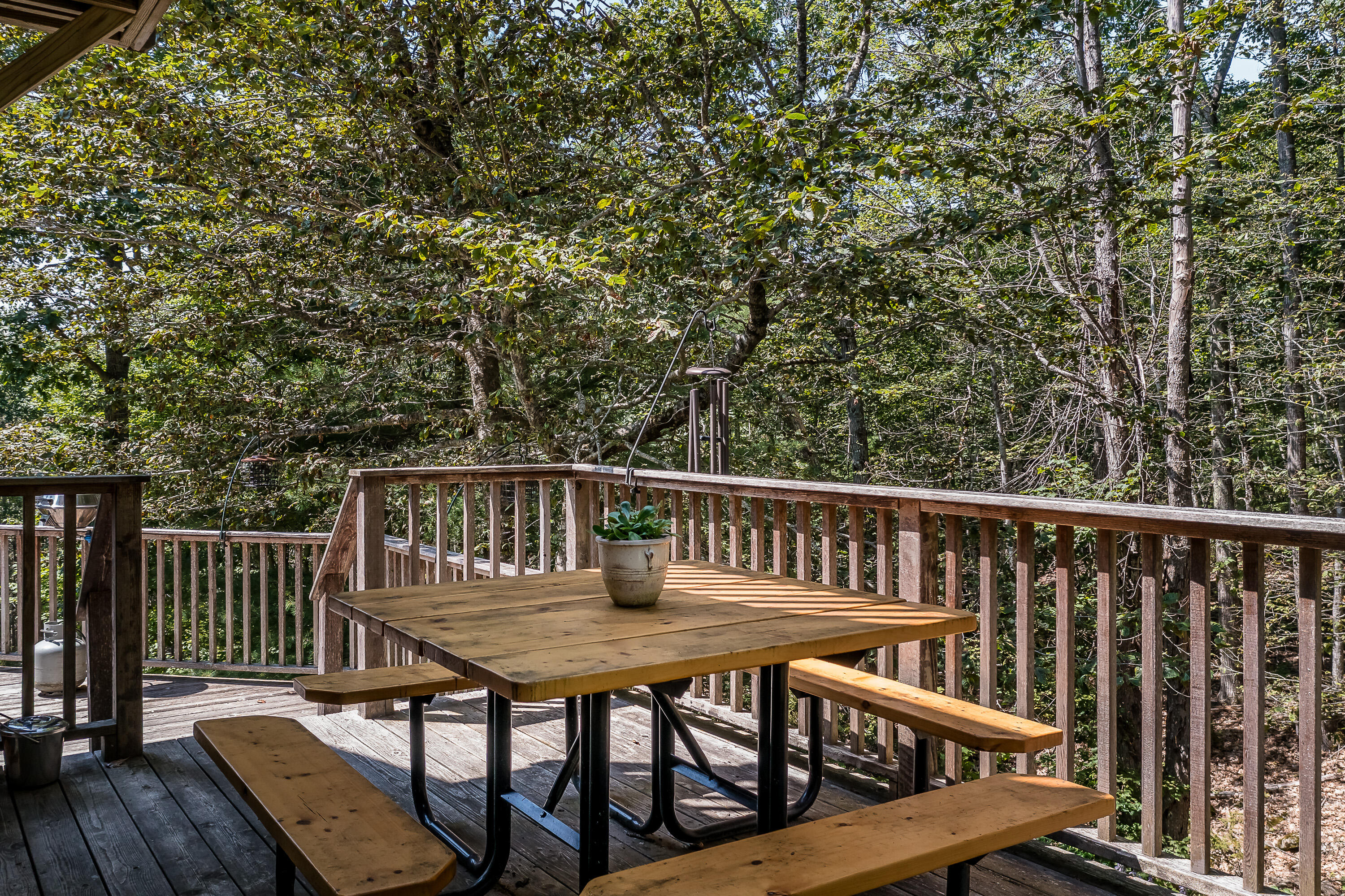 24 White Tail Drive
