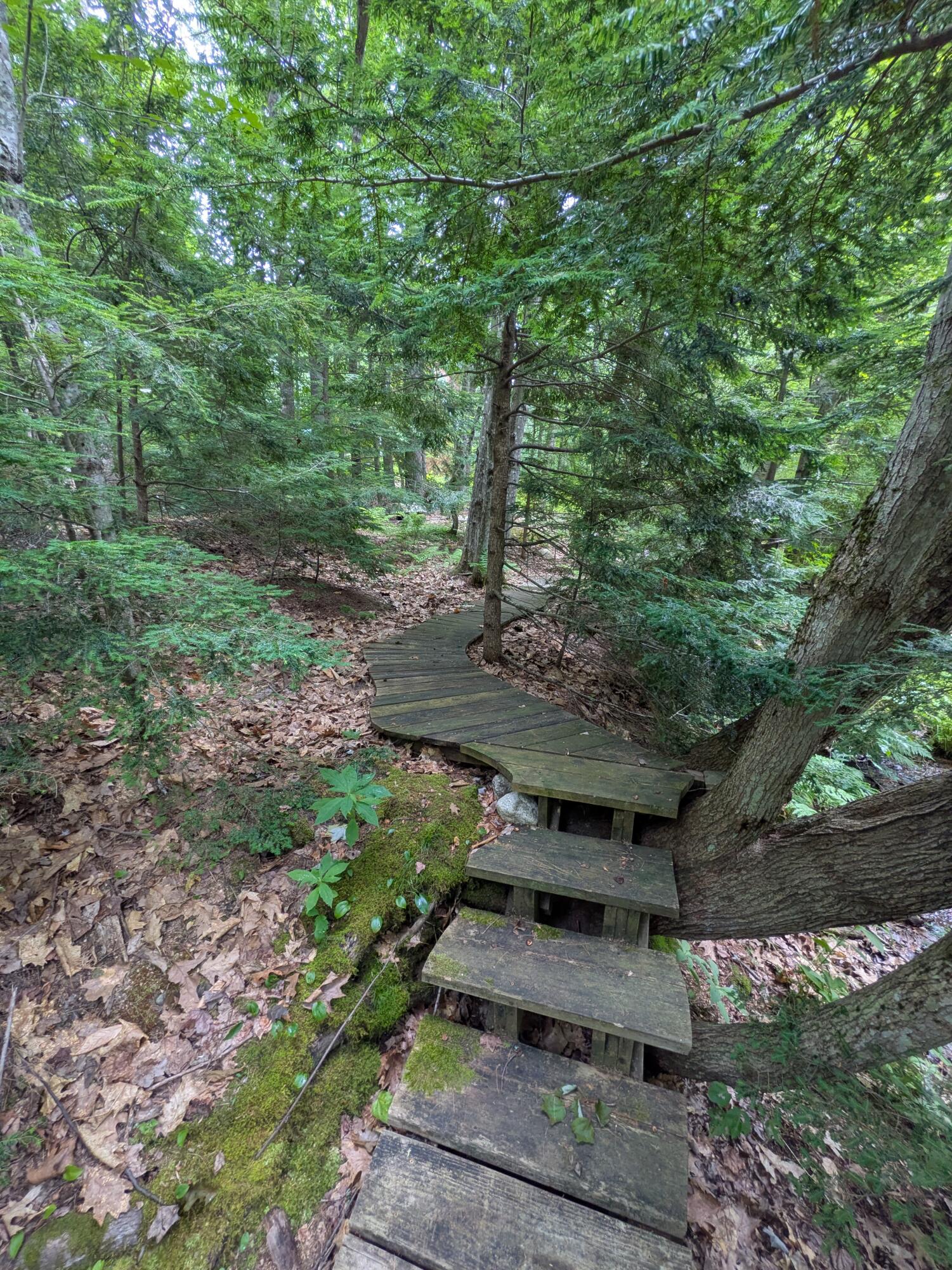 197 Old Country Way