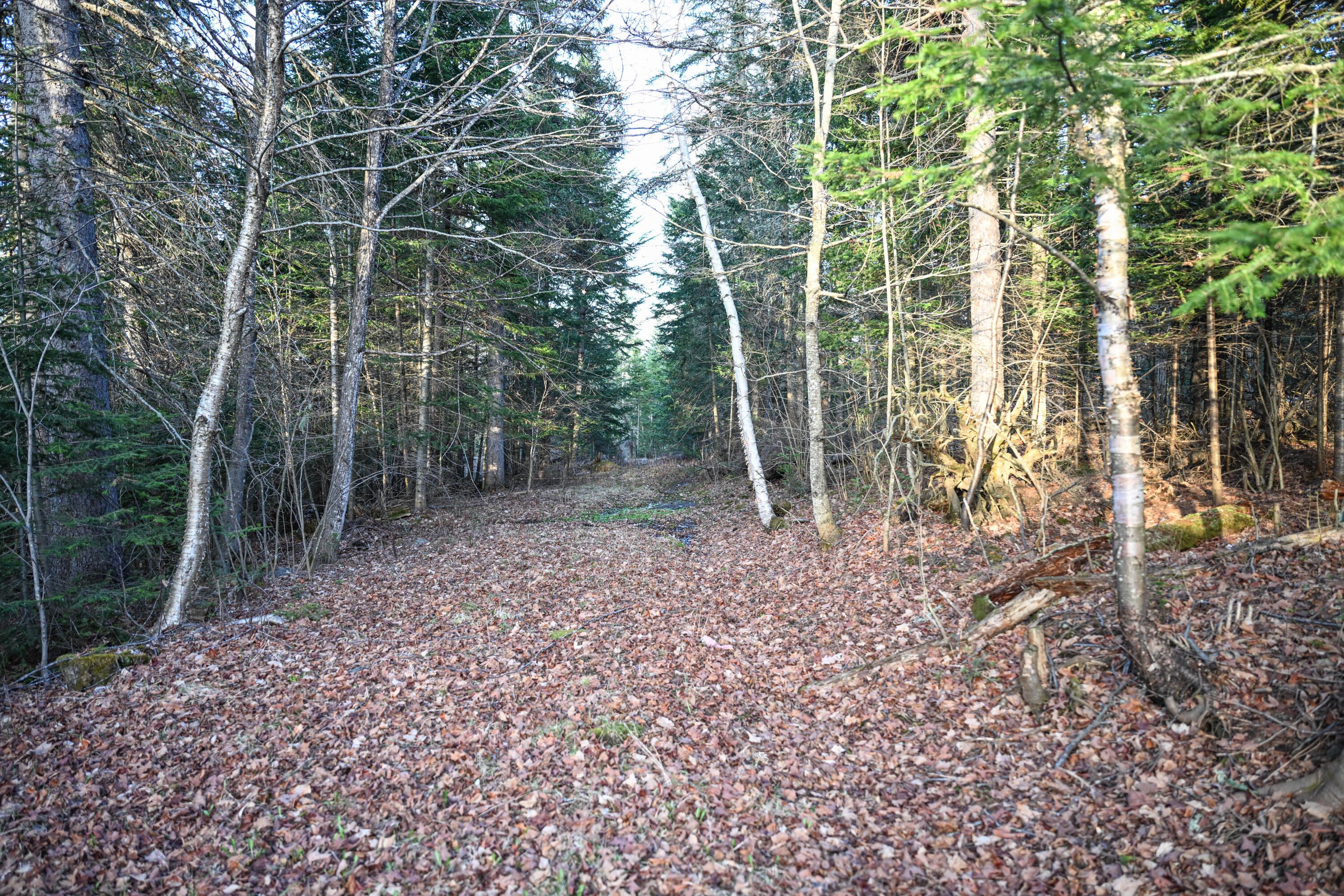 537 Dallas Hill Road