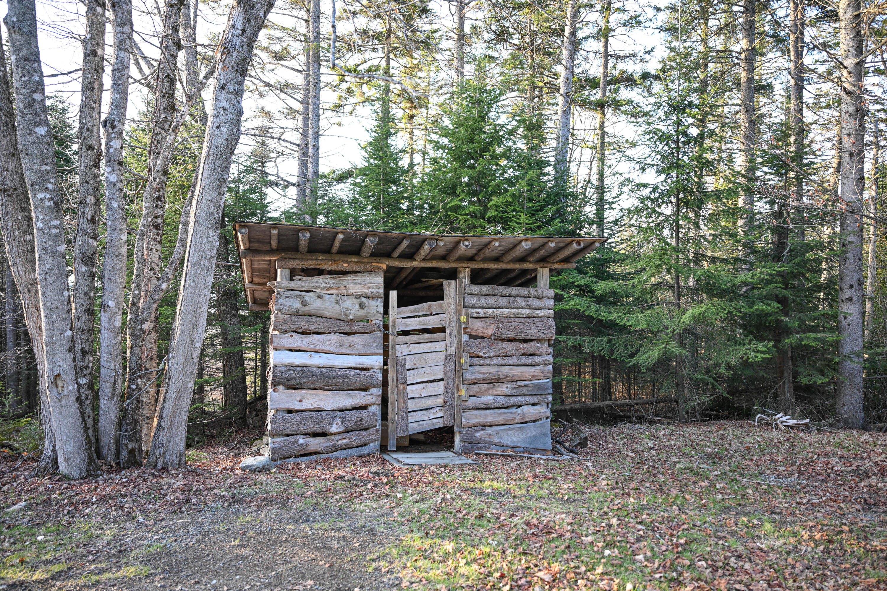 537 Dallas Hill Road