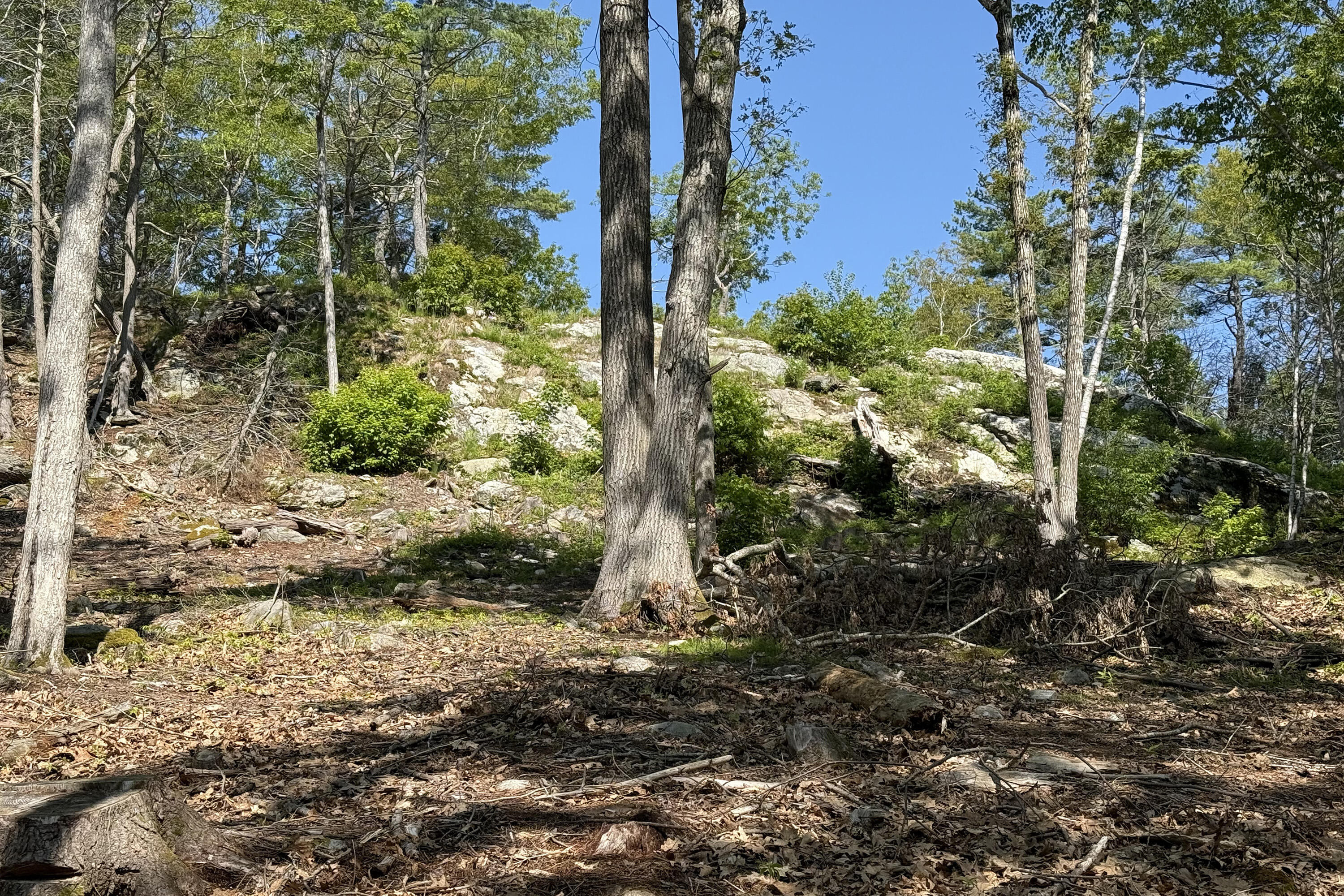 0 Cushman Point Road