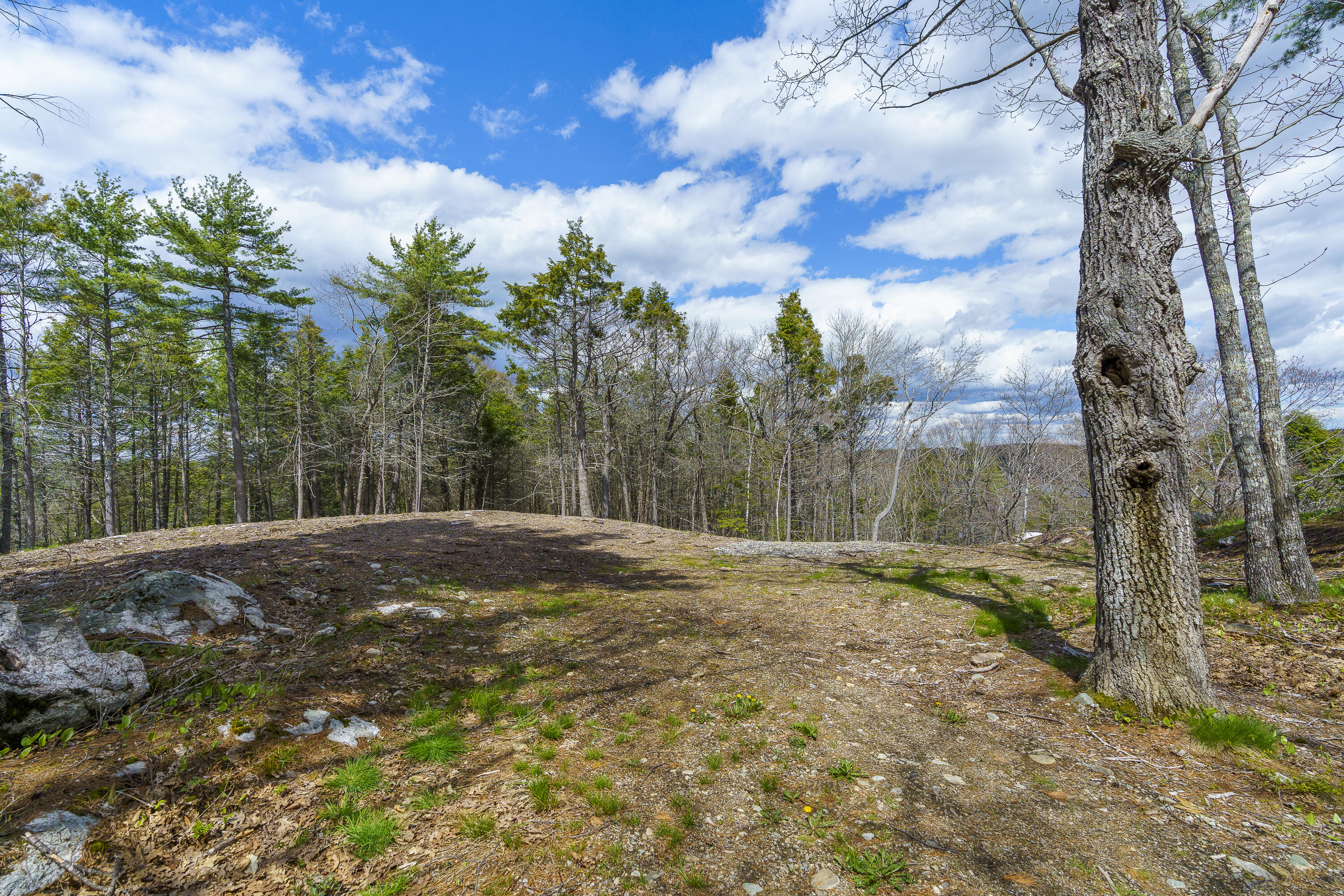 0 Cushman Point Road