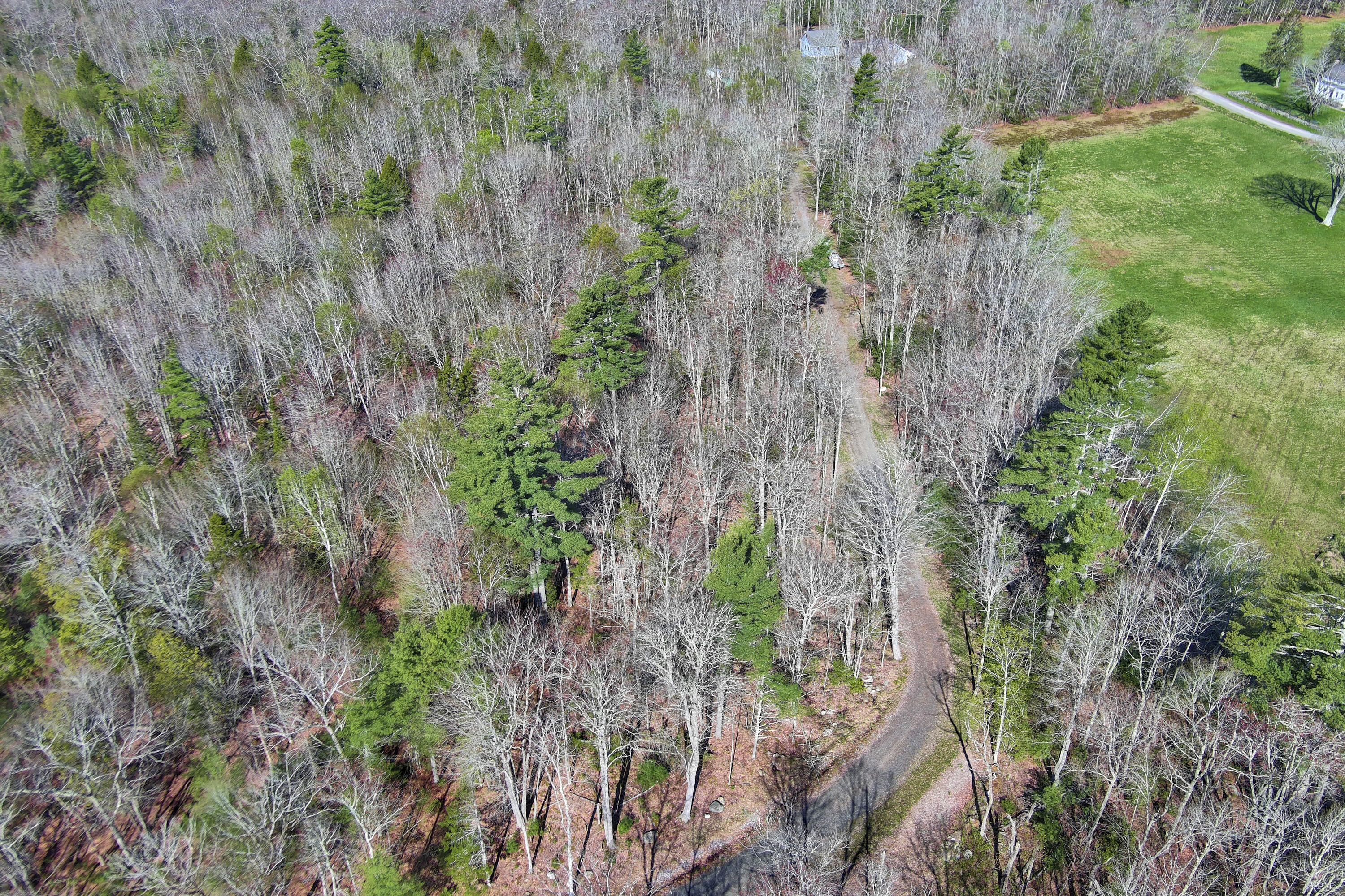 18 Dragonfly Lane