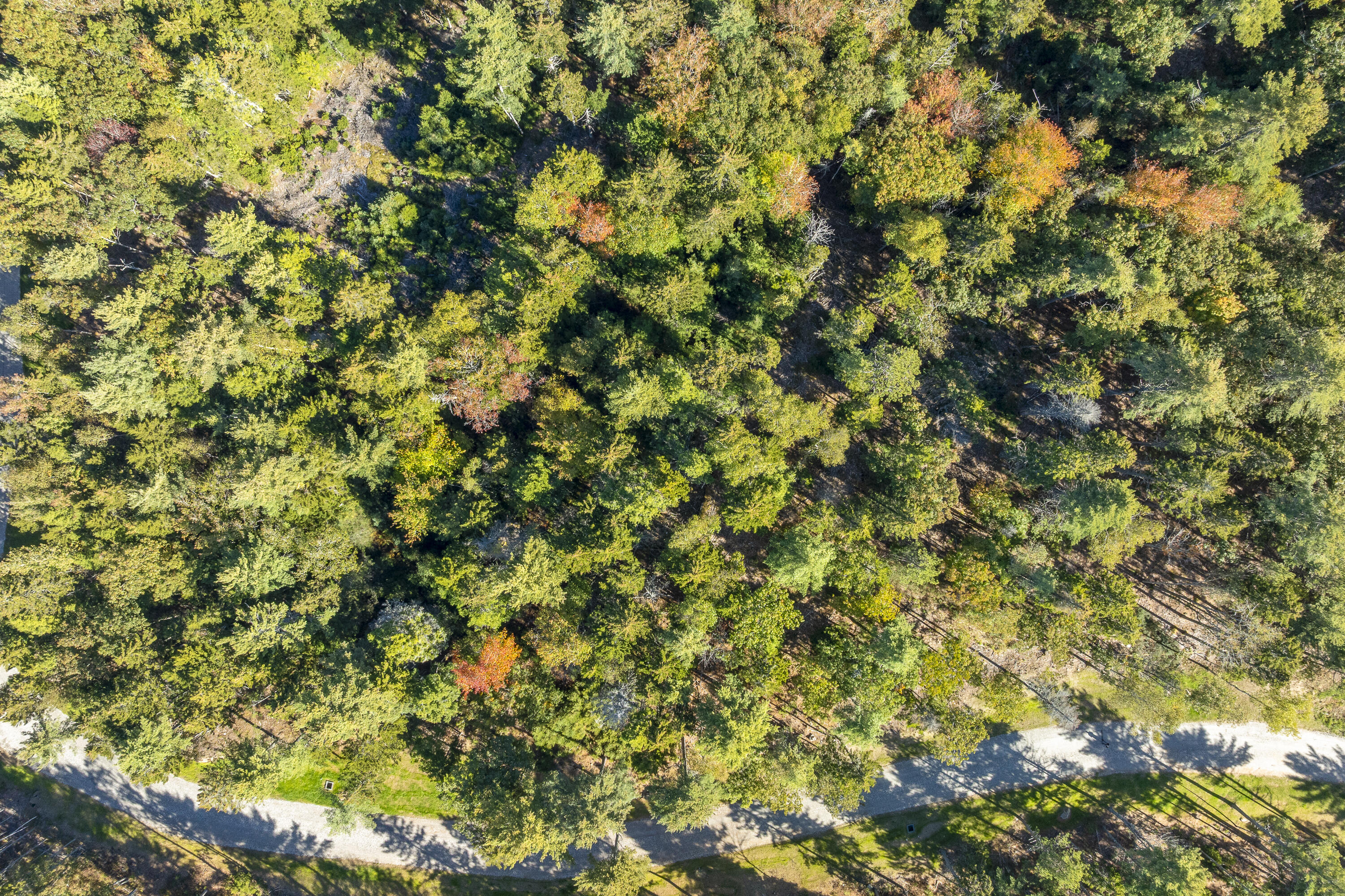 Lot 1-A Midden Ridge Road