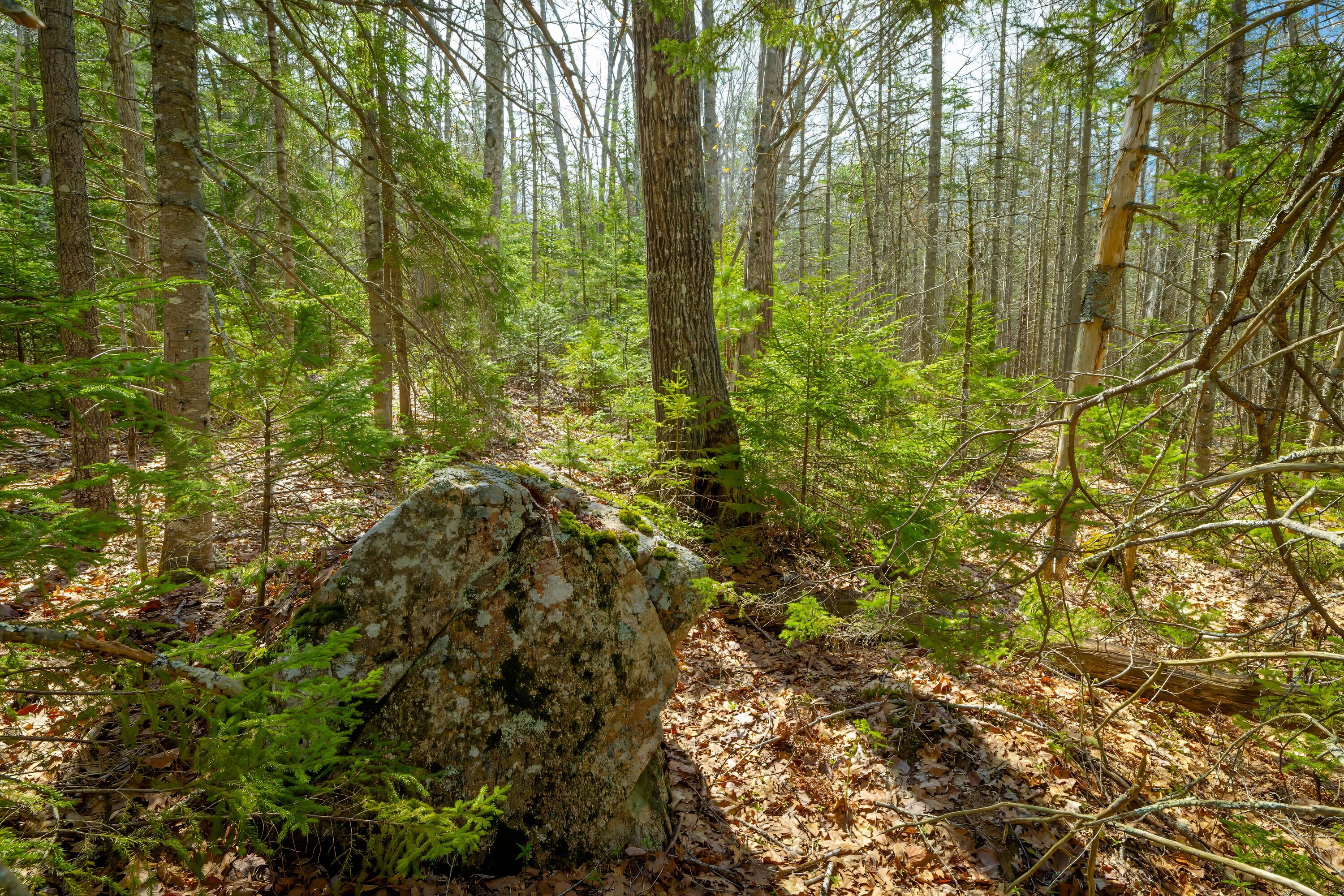 Lot 9 Bluff Road