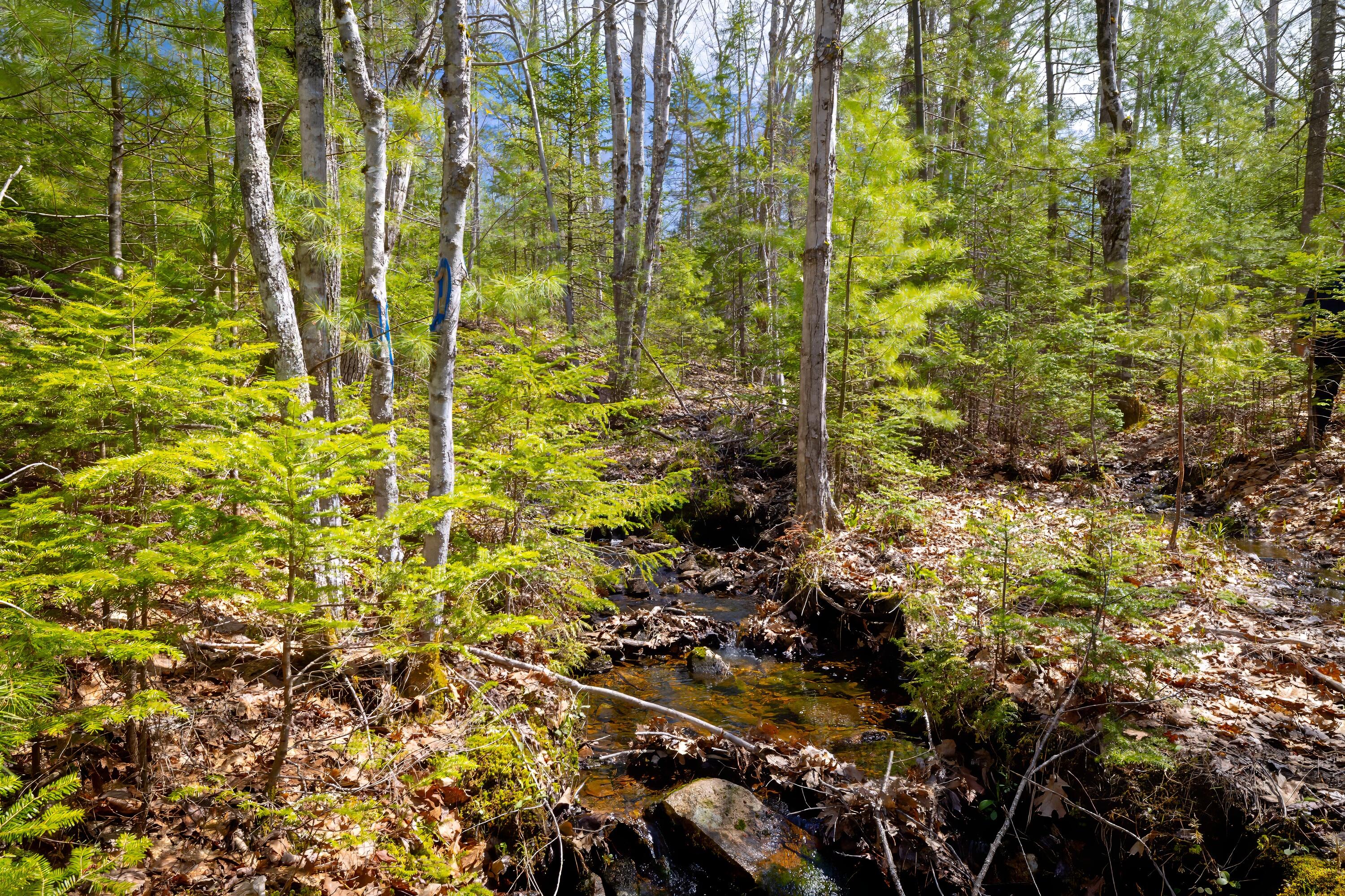 Lot 9 Bluff Road