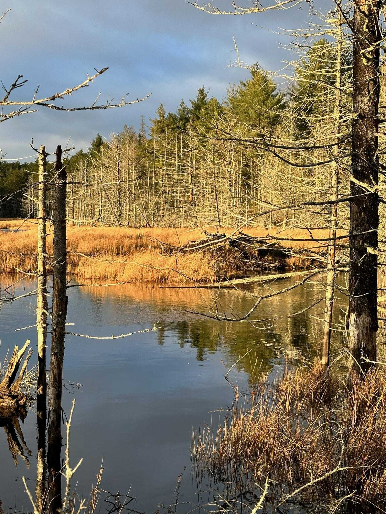 Lot 9 Bluff Road