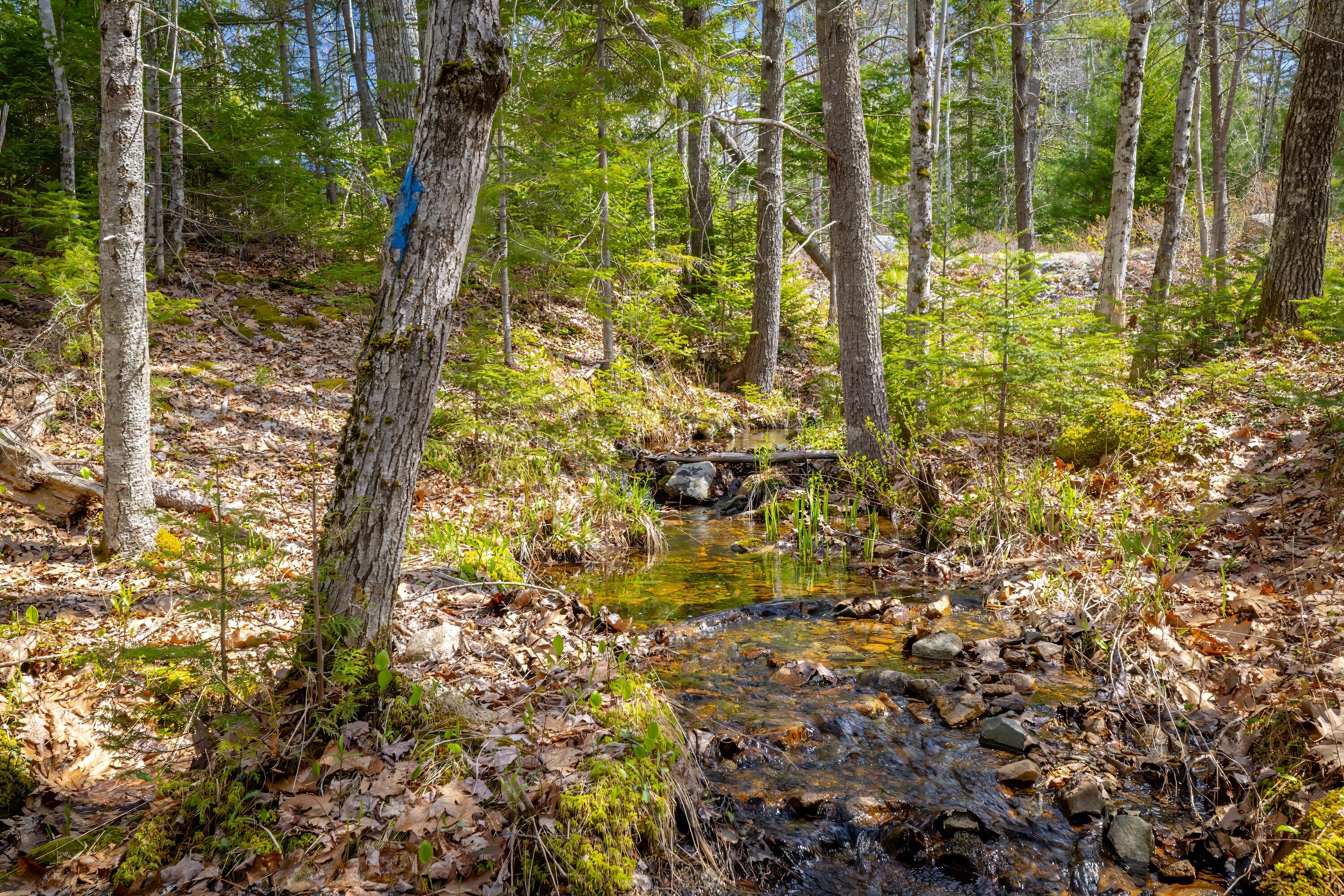Lot 9 Bluff Road