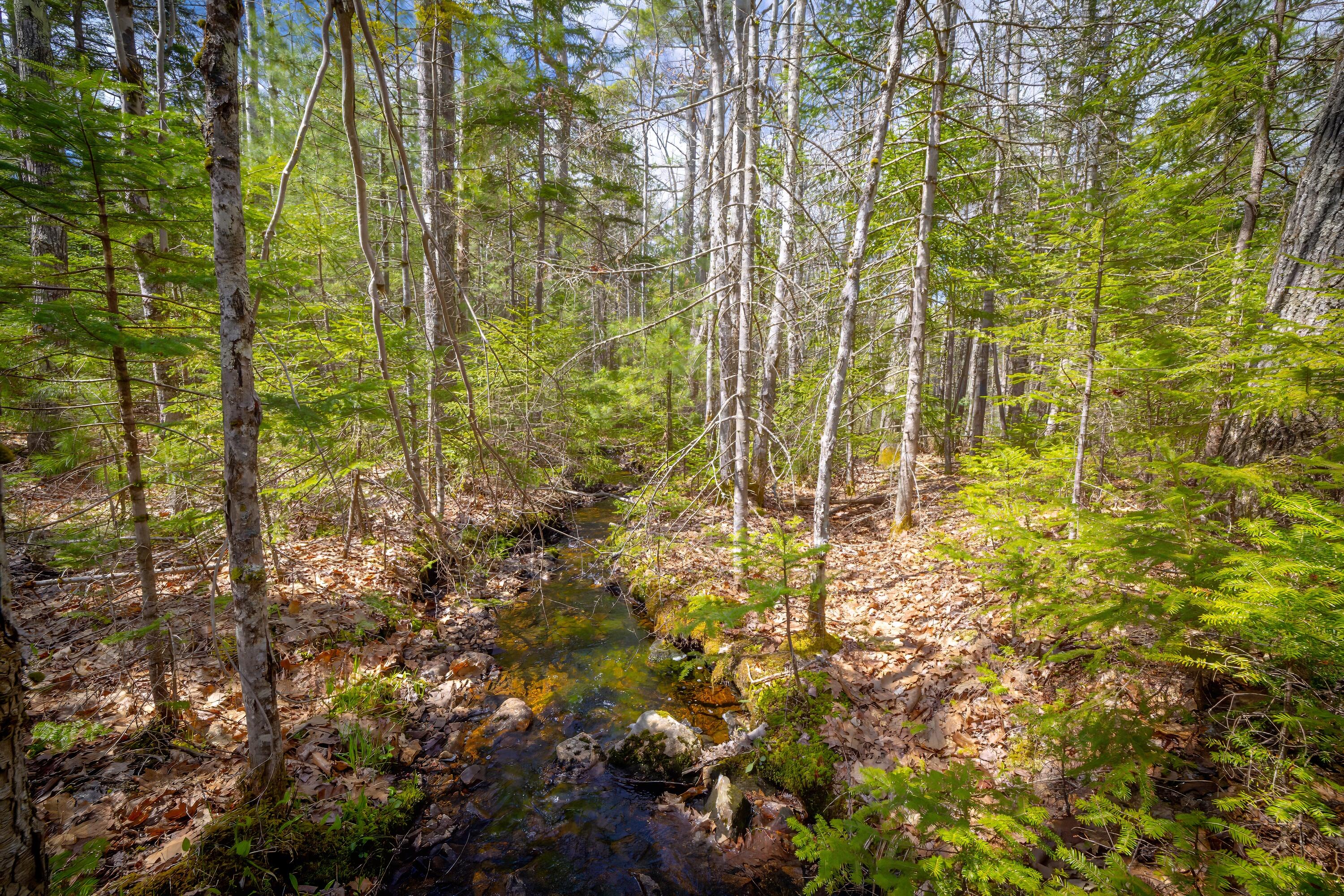 Lot 9 Bluff Road