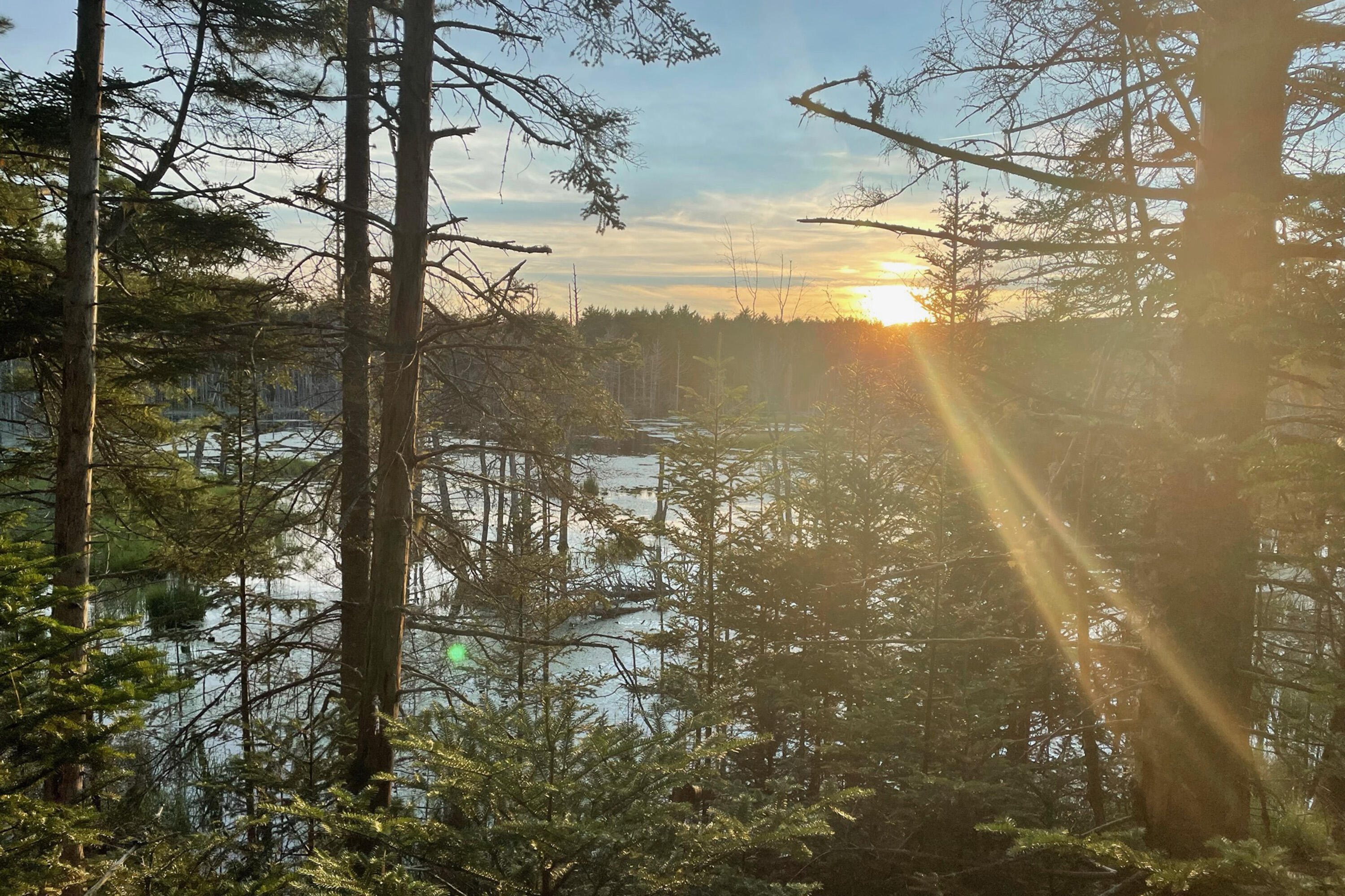 Lot 9 Bluff Road
