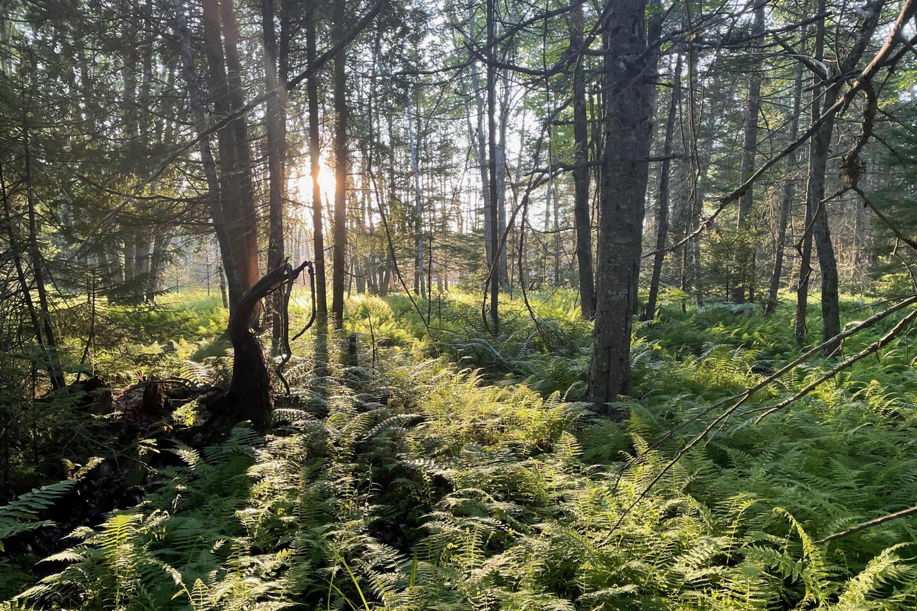 Lot 9 Bluff Road