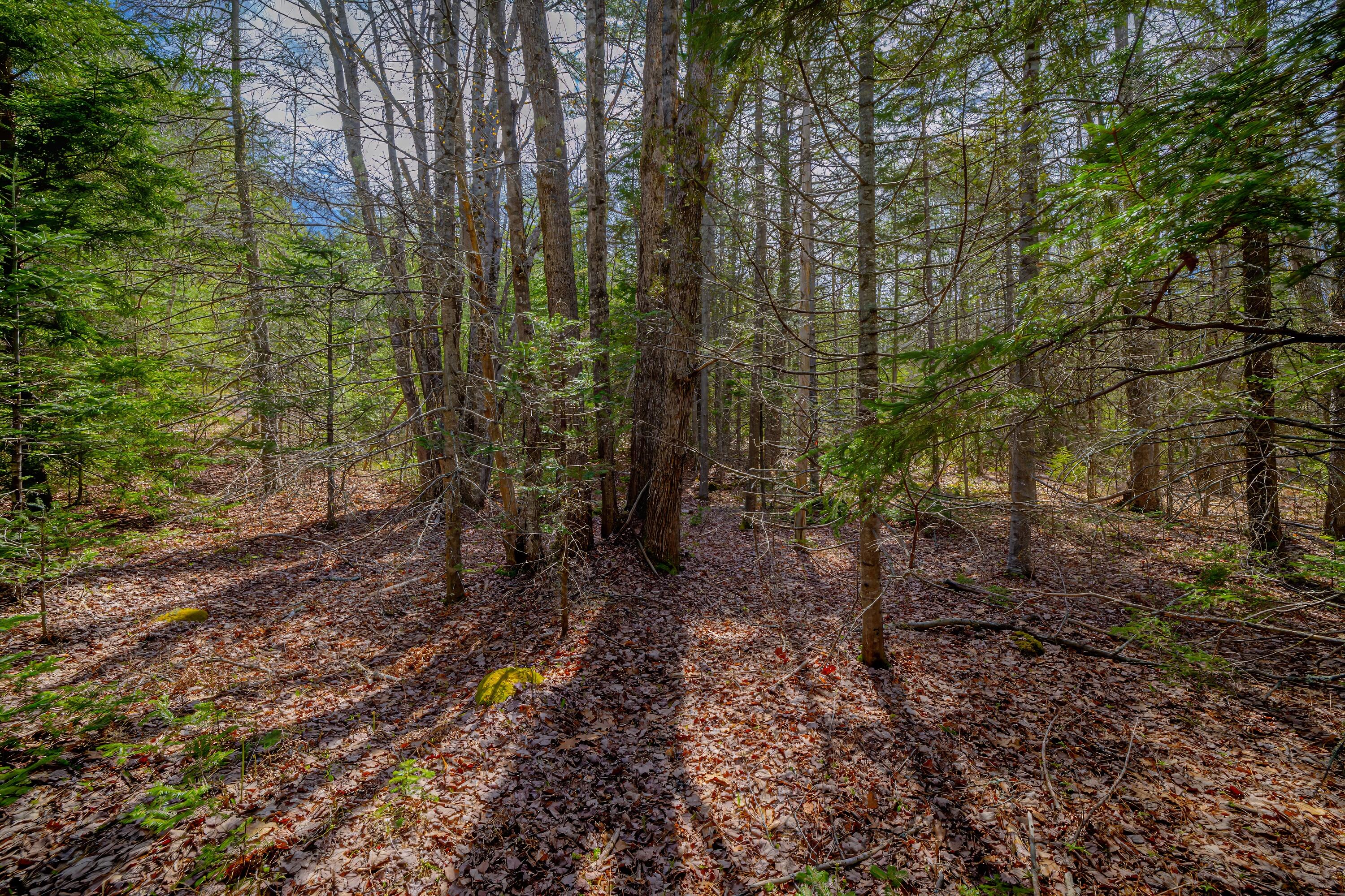 Lot 9 Bluff Road