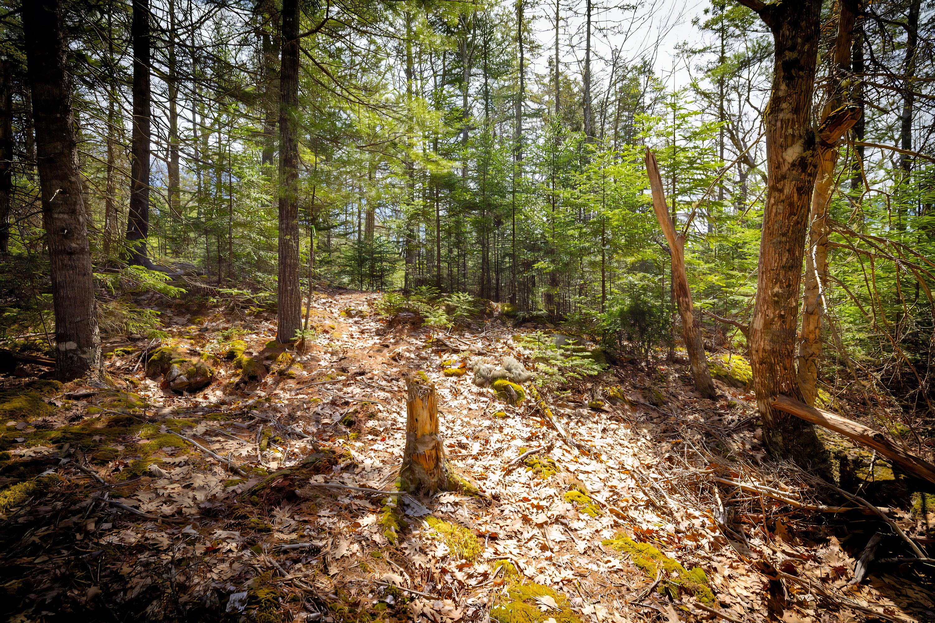 Lot 9 Bluff Road