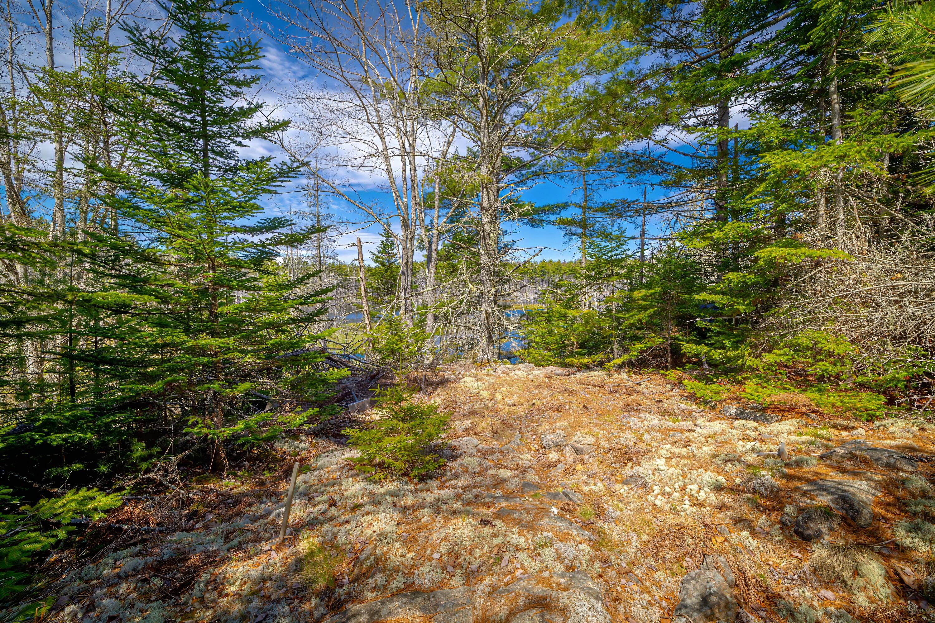 Lot 9 Bluff Road