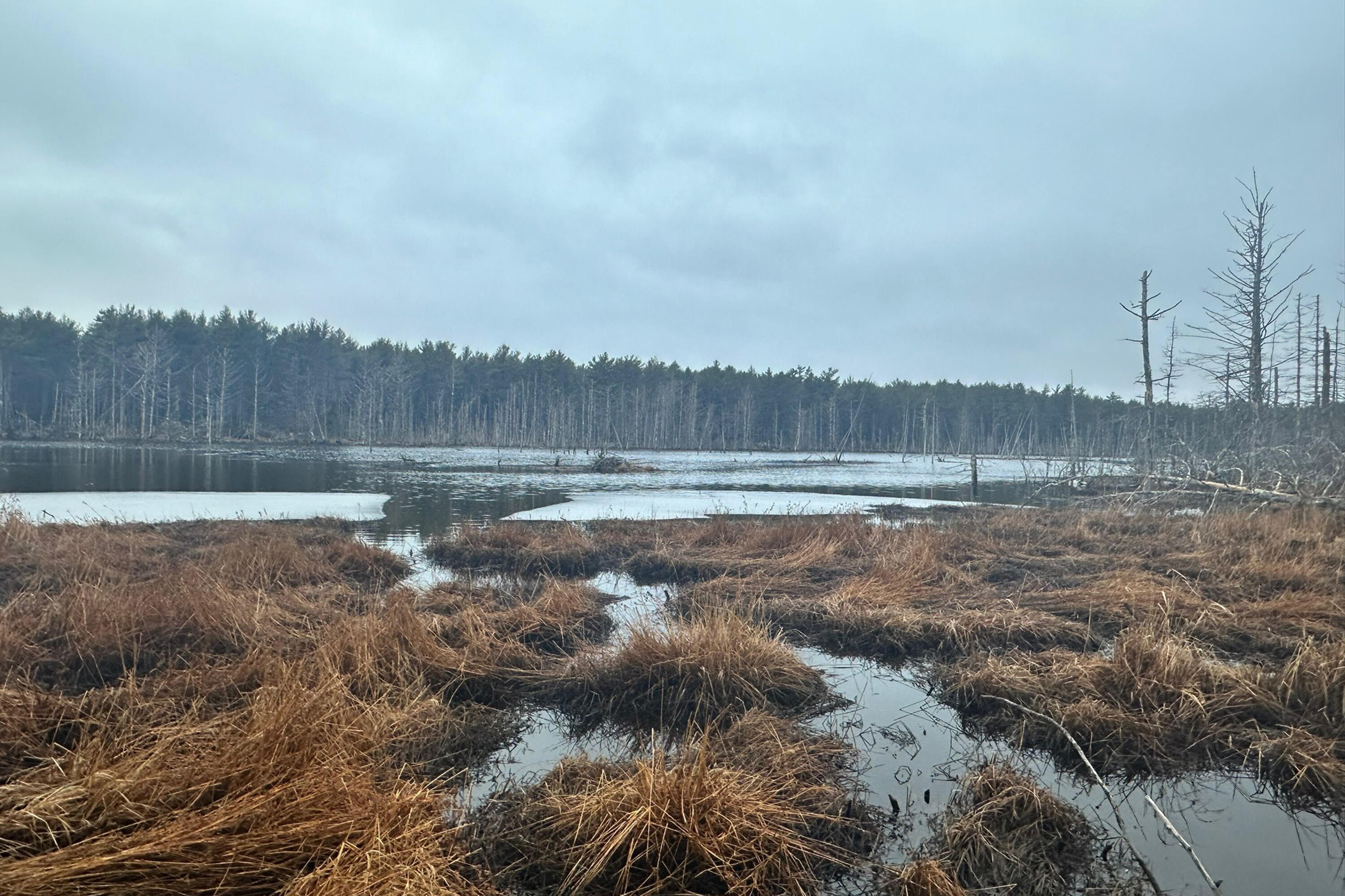 Lot 9 Bluff Road