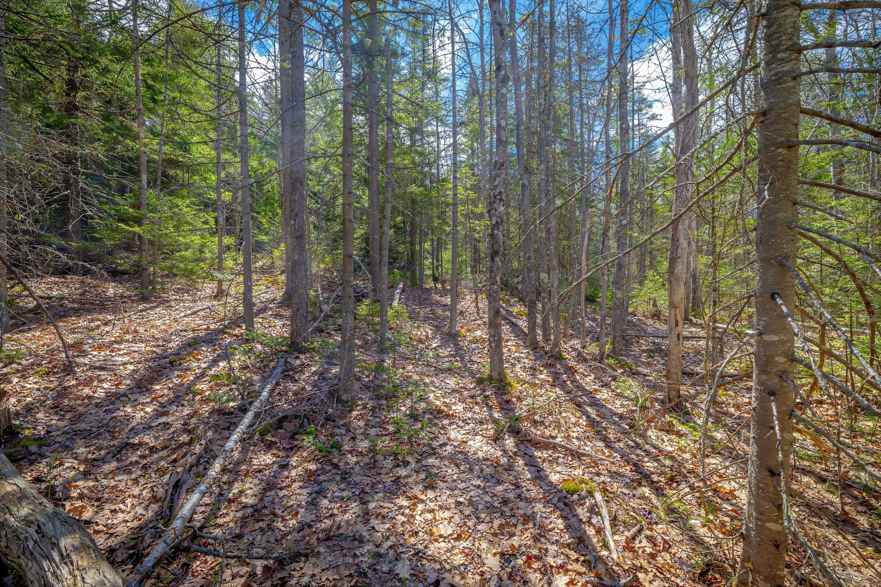 Lot 9 Bluff Road