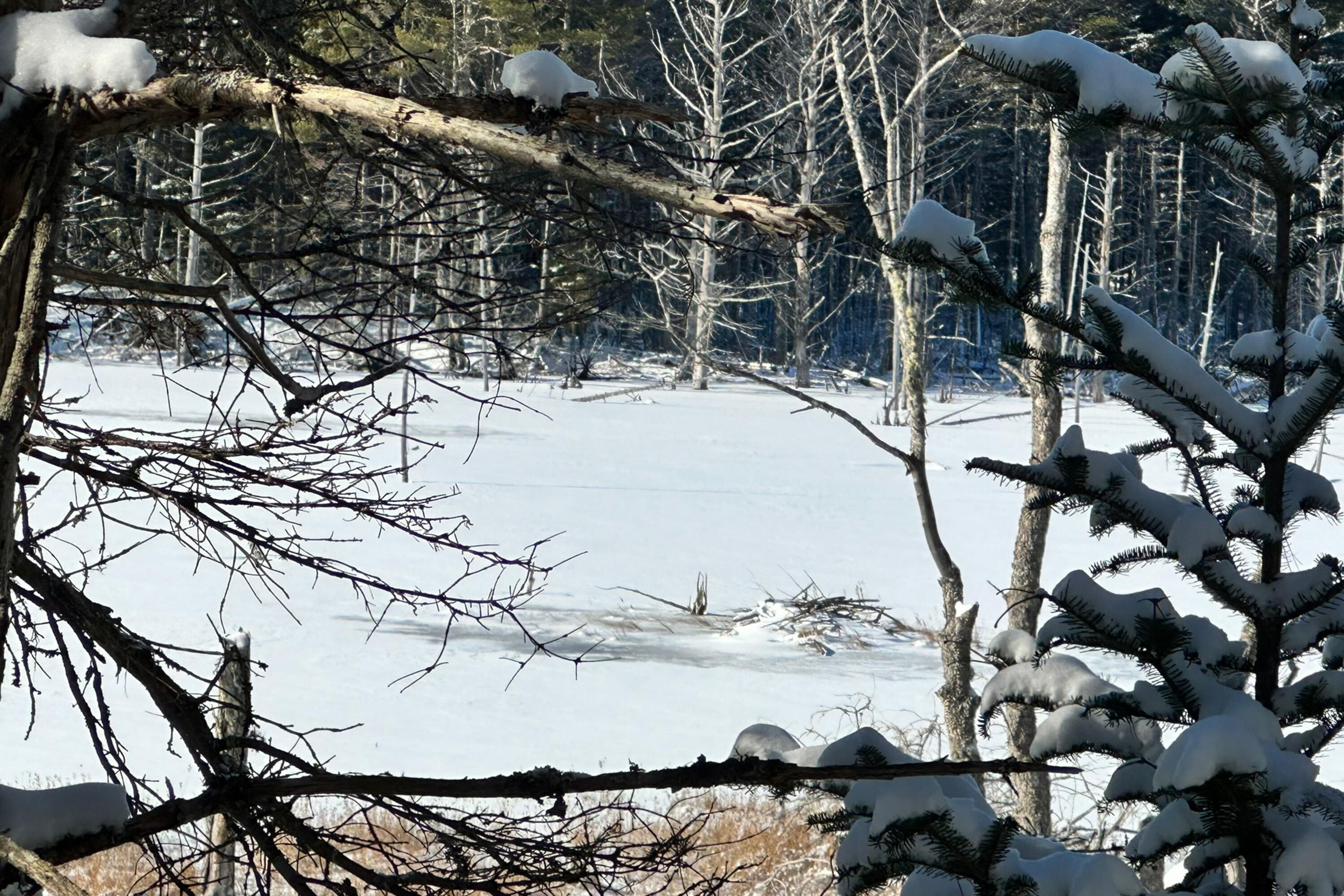Lot 9 Bluff Road