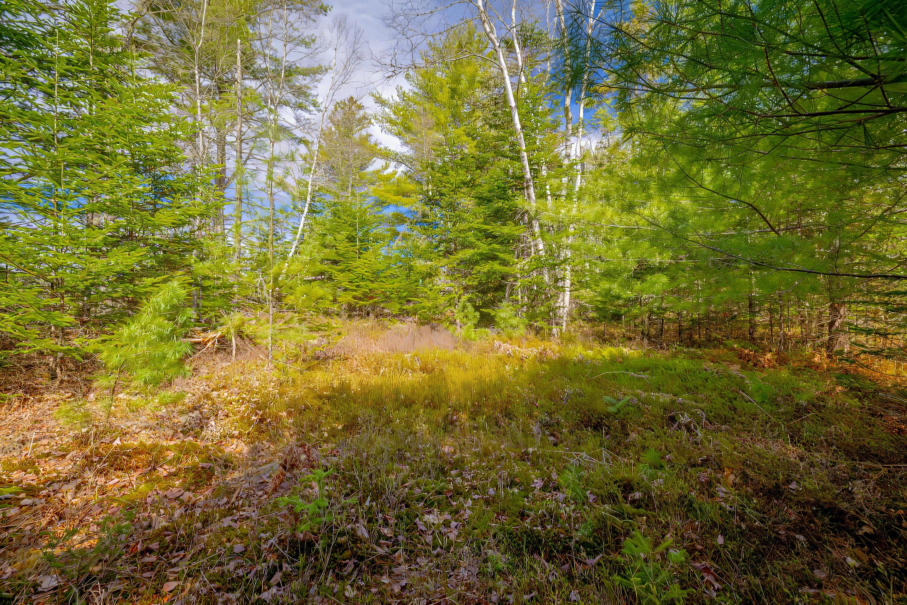 Lot 9 Bluff Road
