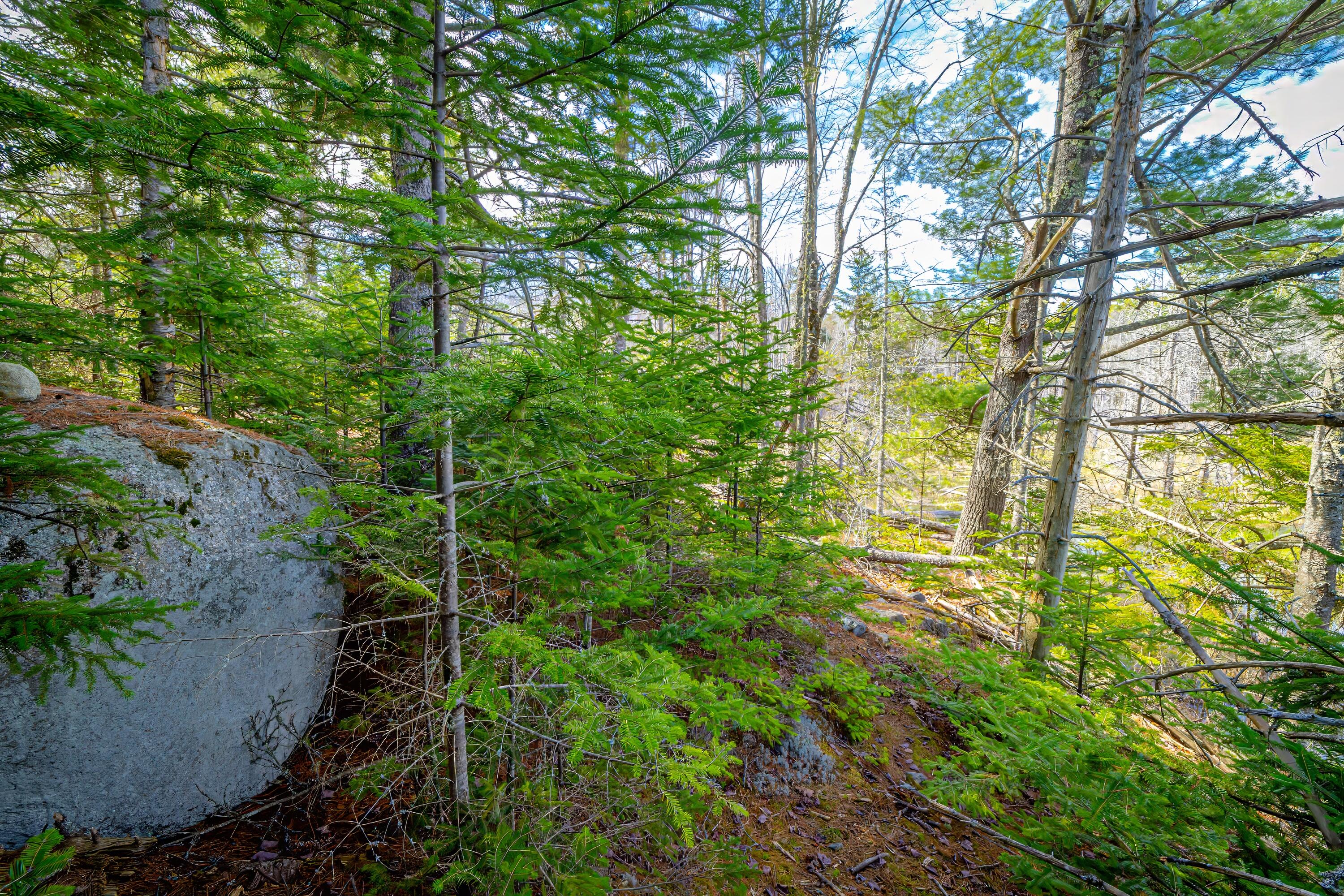 Lot 9 Bluff Road