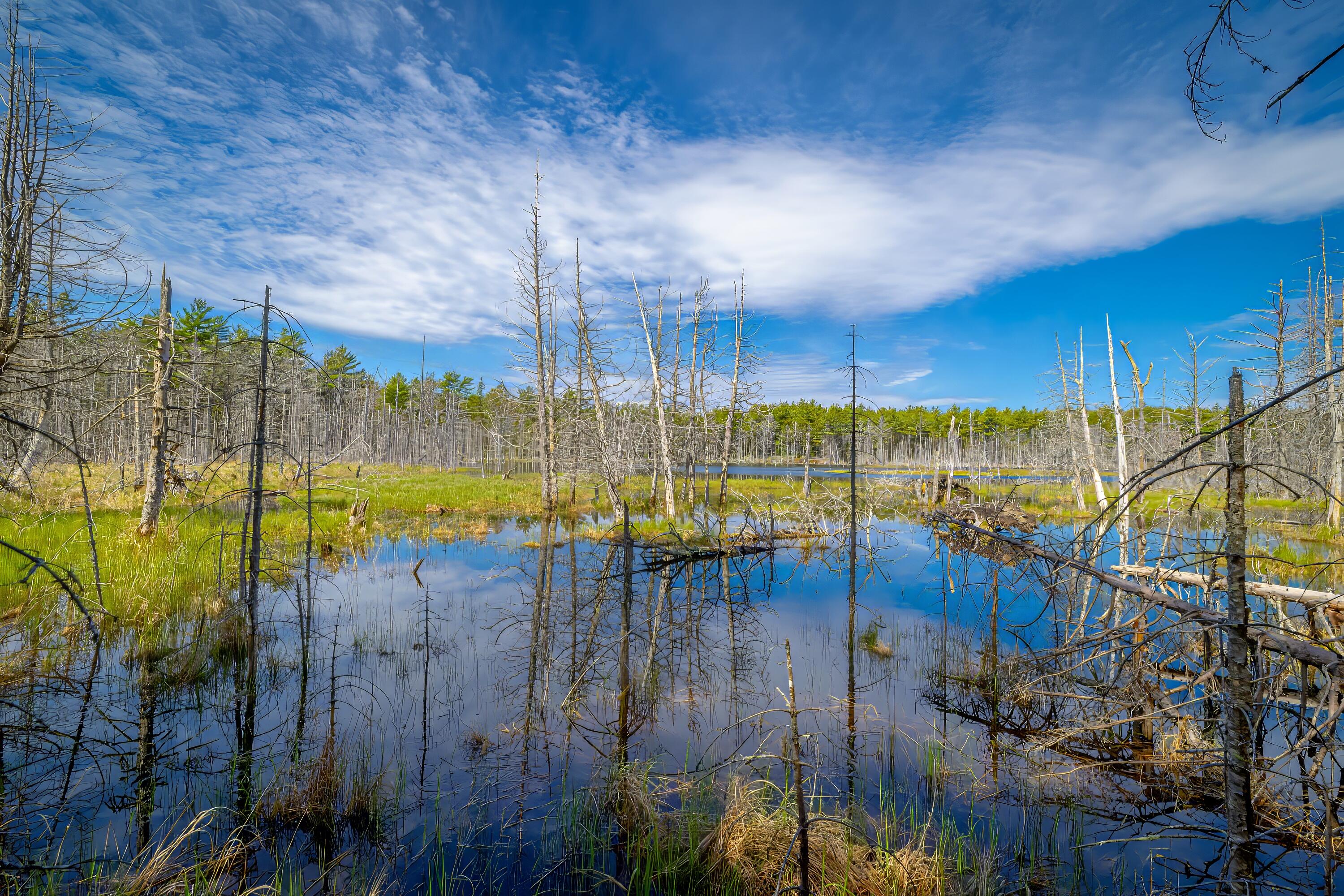 Lot 9 Bluff Road