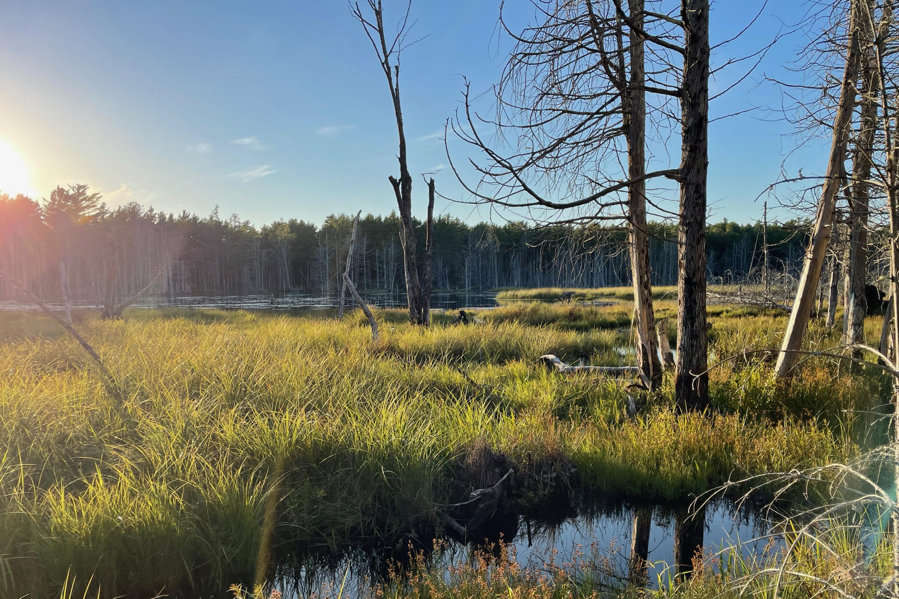 Lot 9 Bluff Road