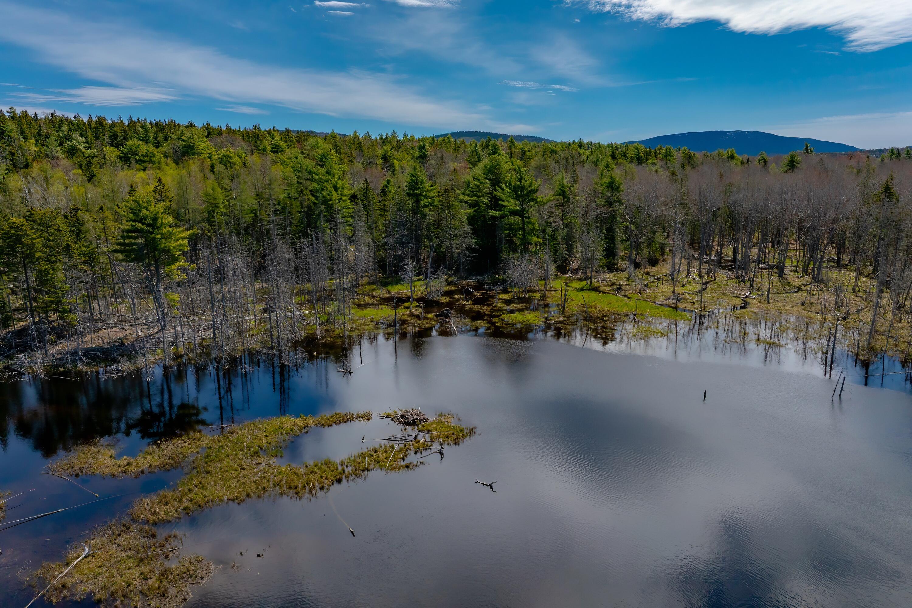 Lot 9 Bluff Road