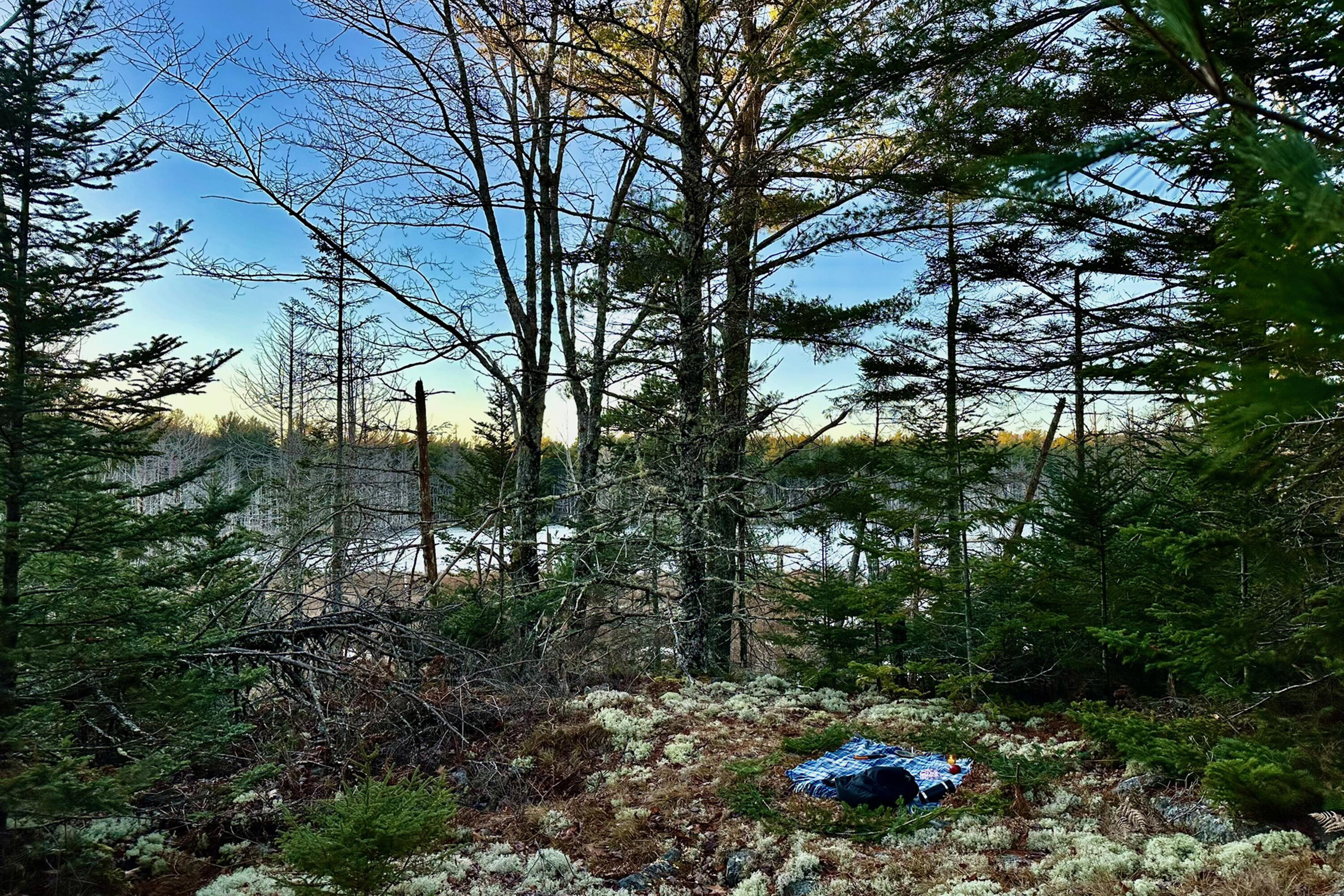 Lot 9 Bluff Road