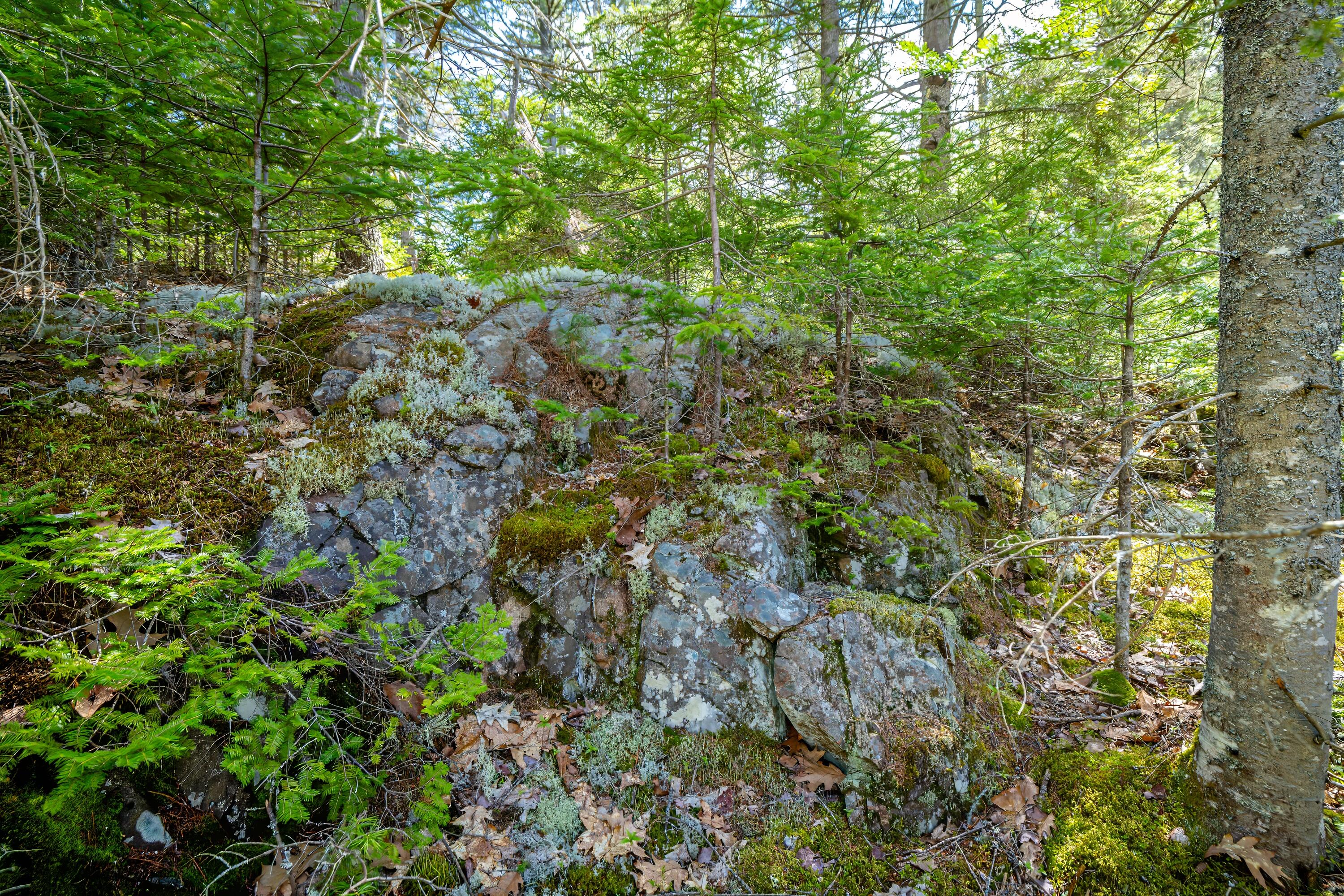 Lot 9 Bluff Road