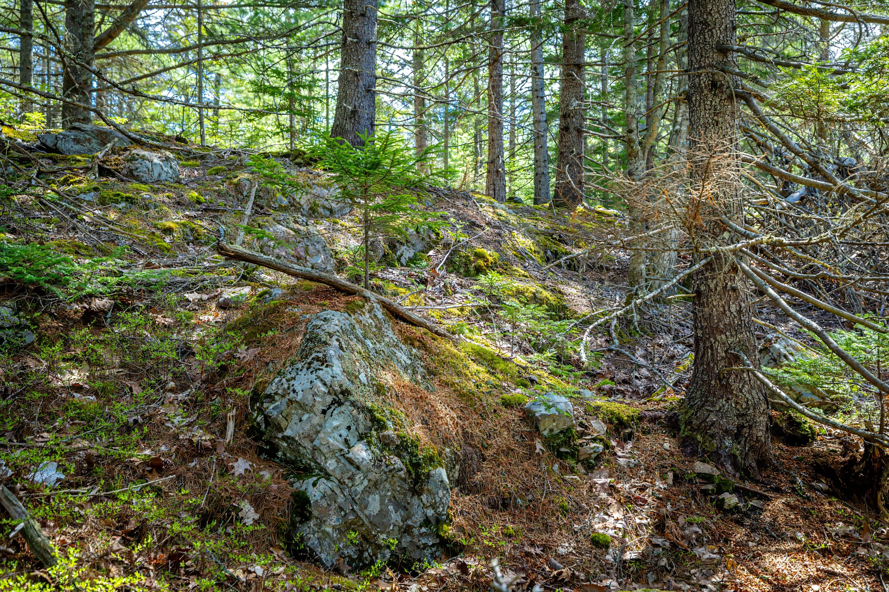 Lot 9 Bluff Road