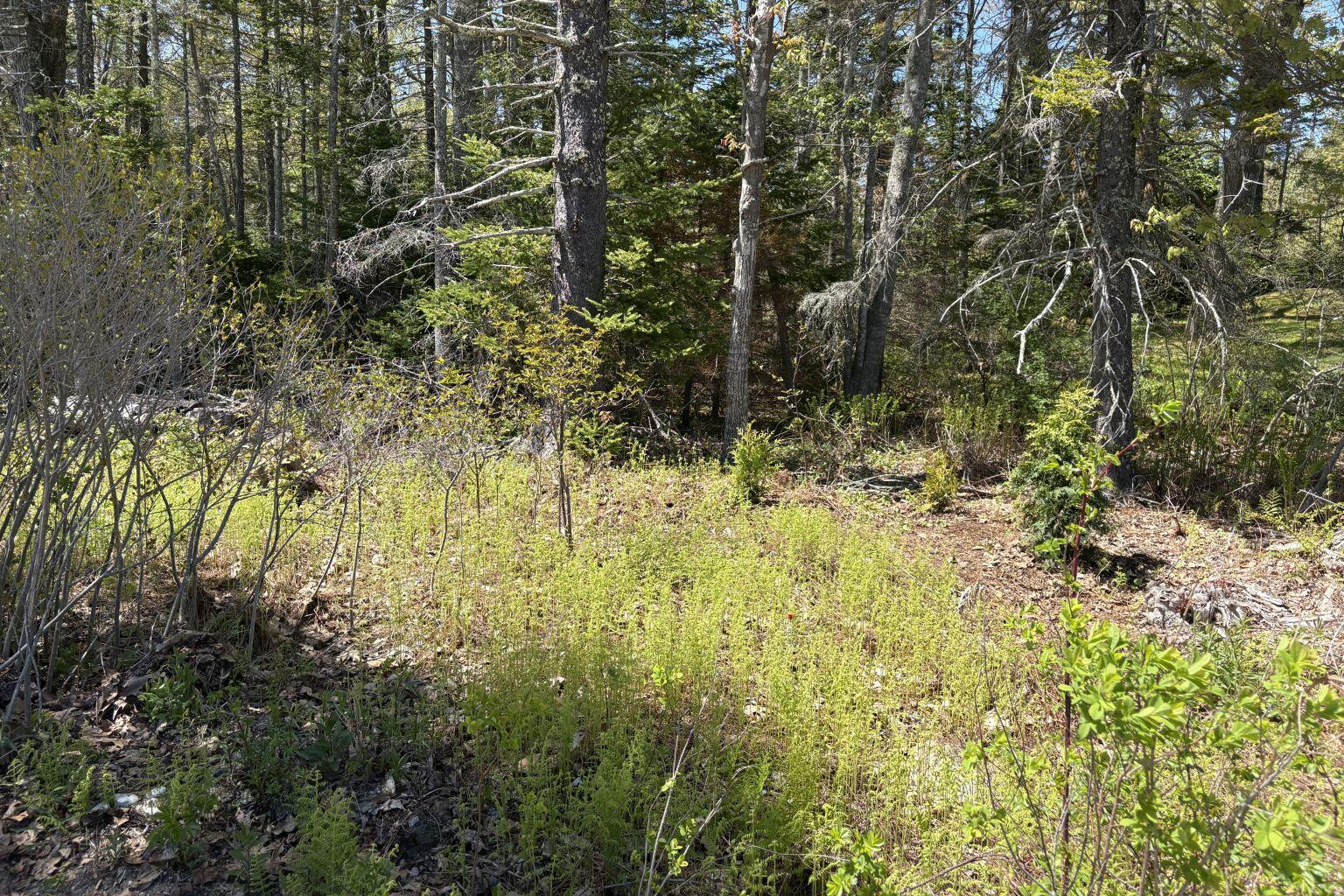 Lot 116010 Martin Point Road