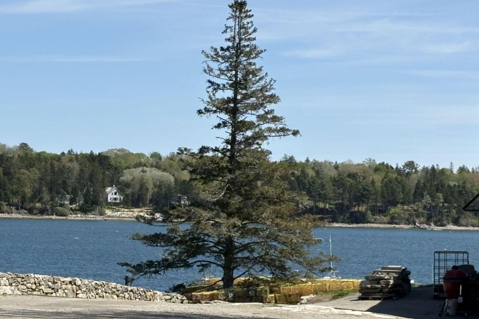 Lot 116010 Martin Point Road