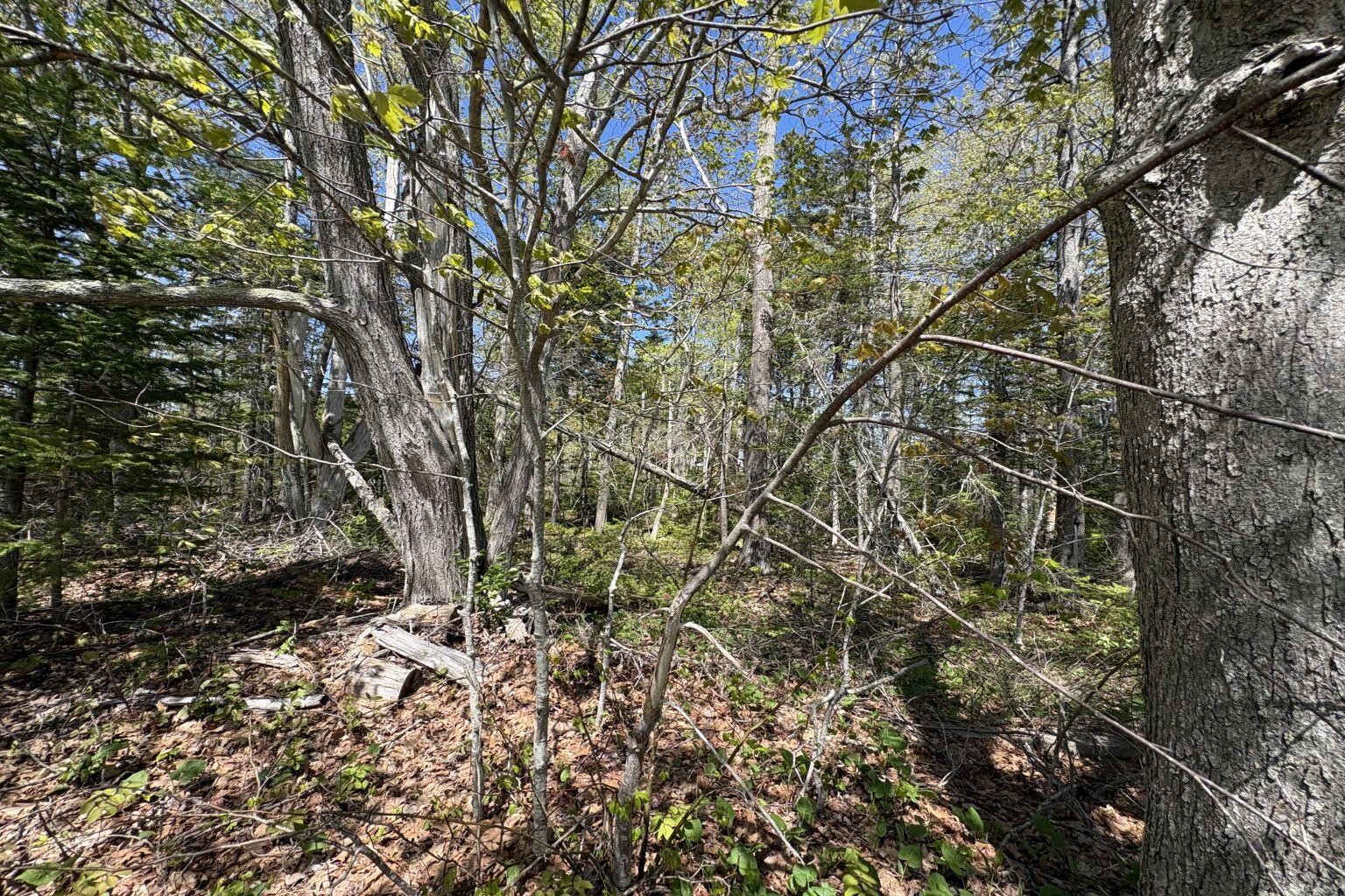 Lot 116010 Martin Point Road