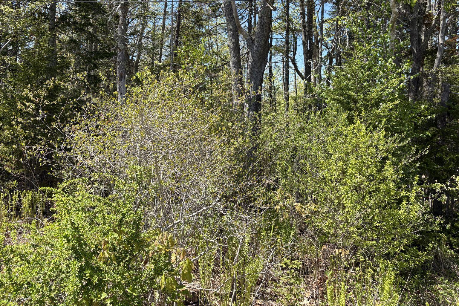 Lot 116010 Martin Point Road