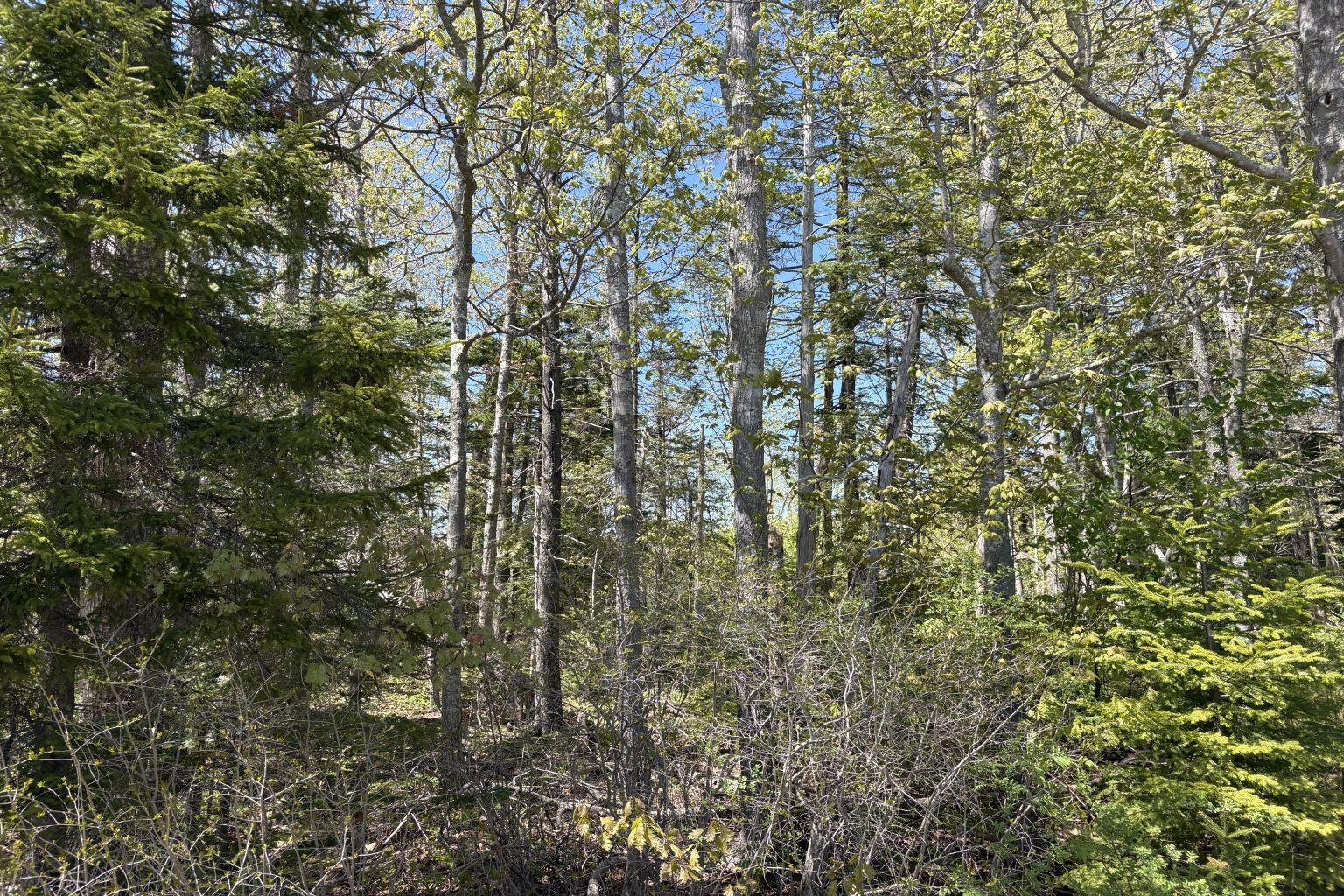 Lot 116010 Martin Point Road