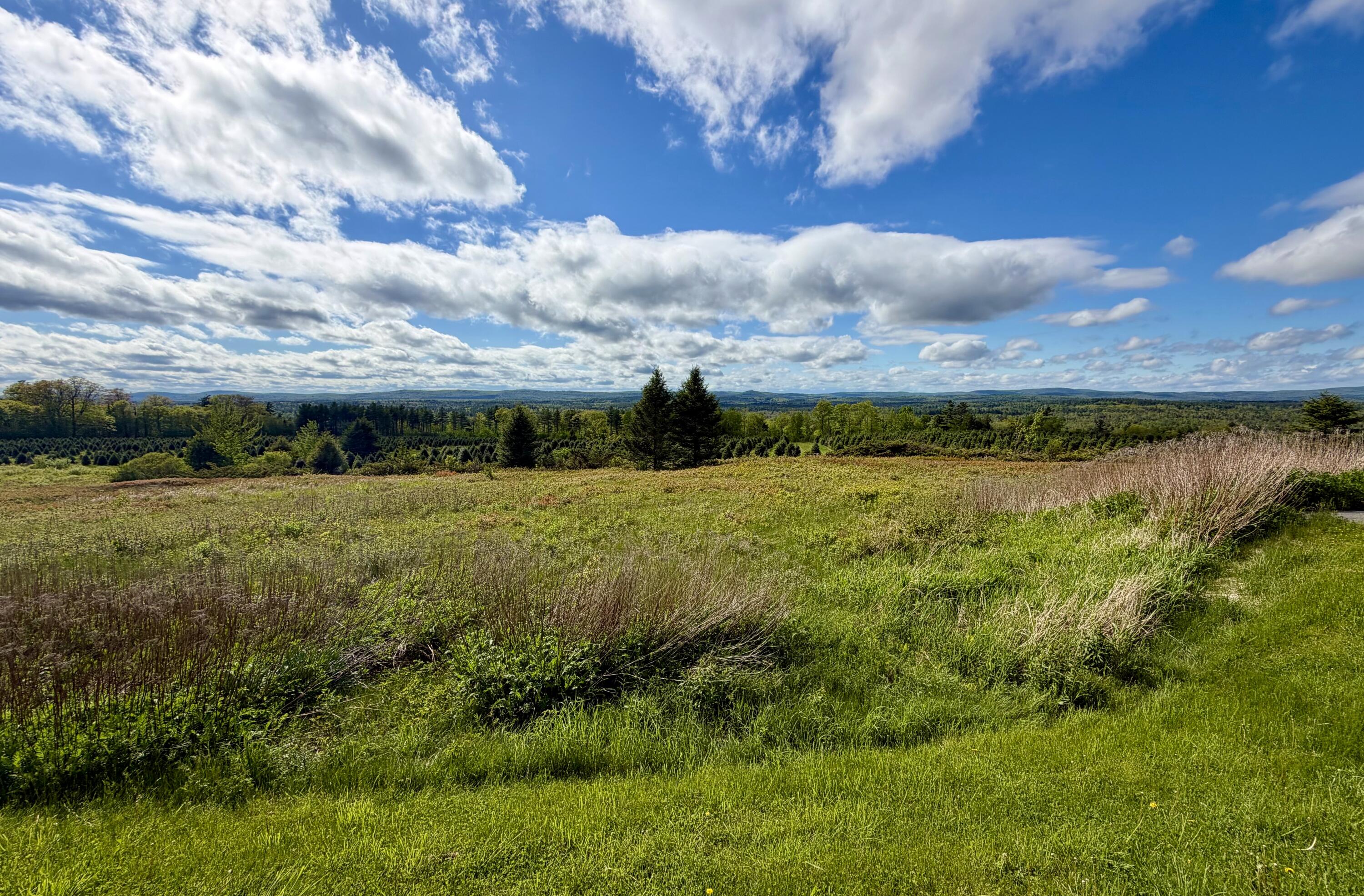 297 Appleton Ridge Road
