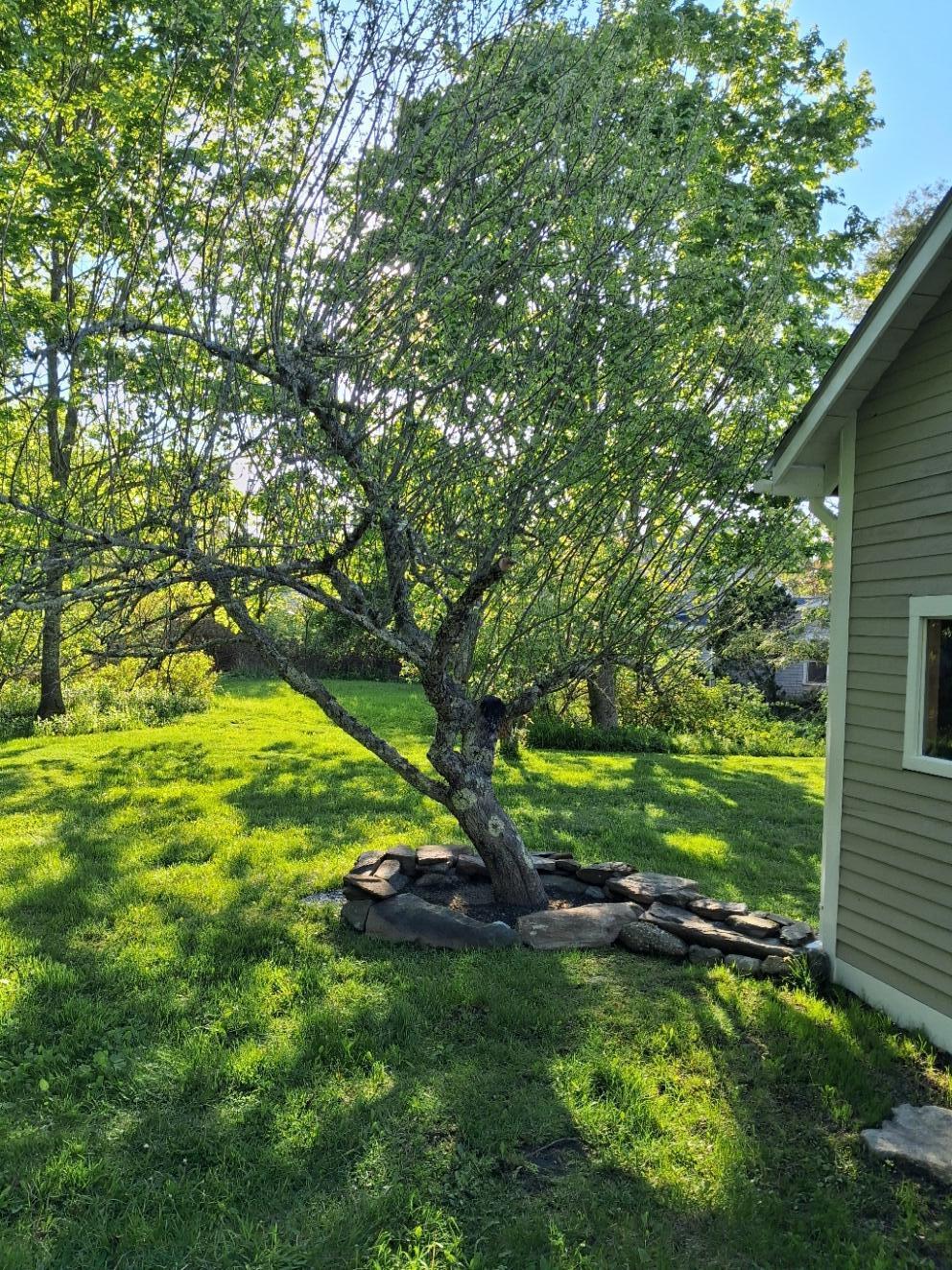 5 Penniman Road