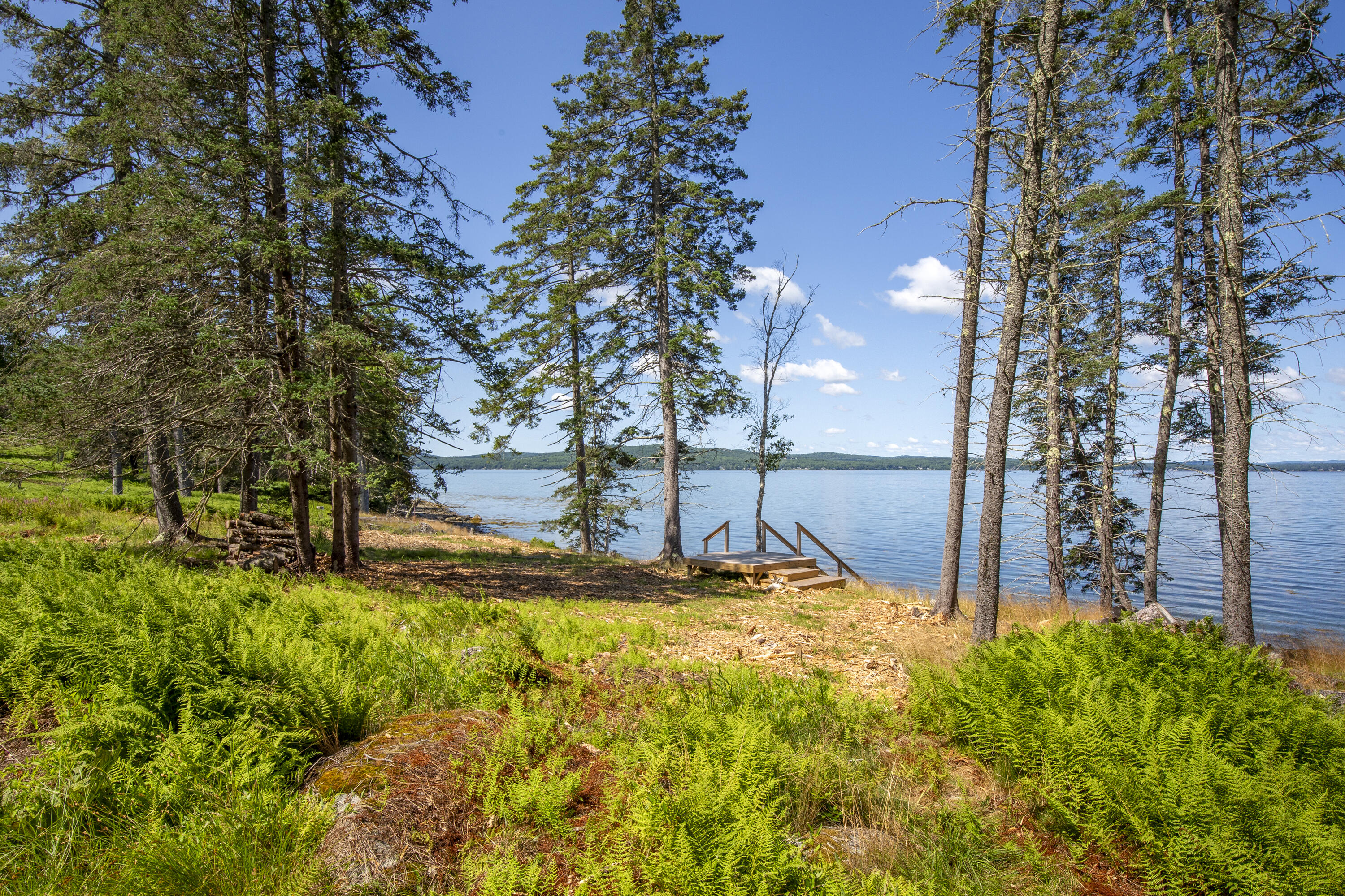 1317 Trim Lane -1