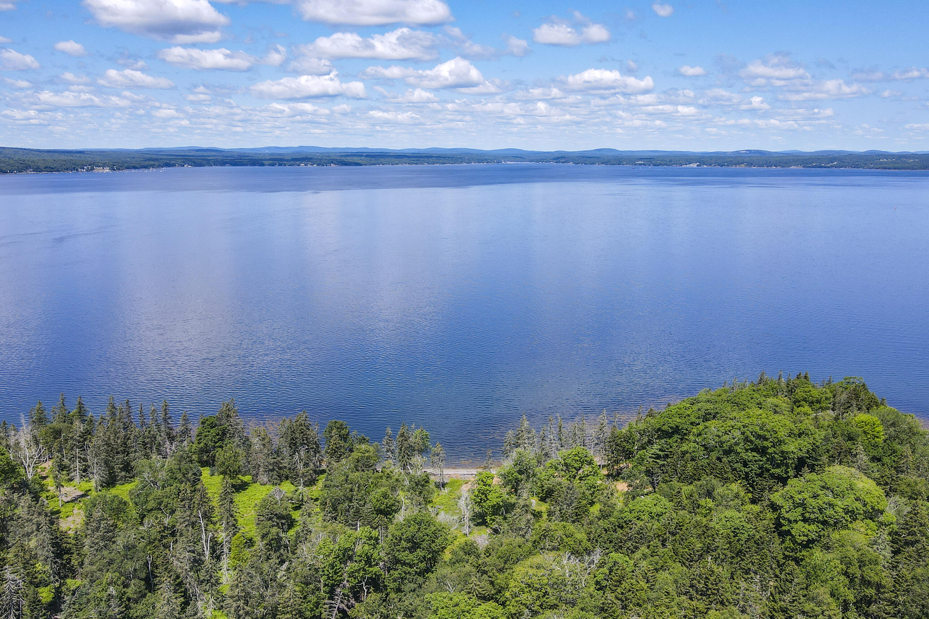 1317 Trim Lane -1