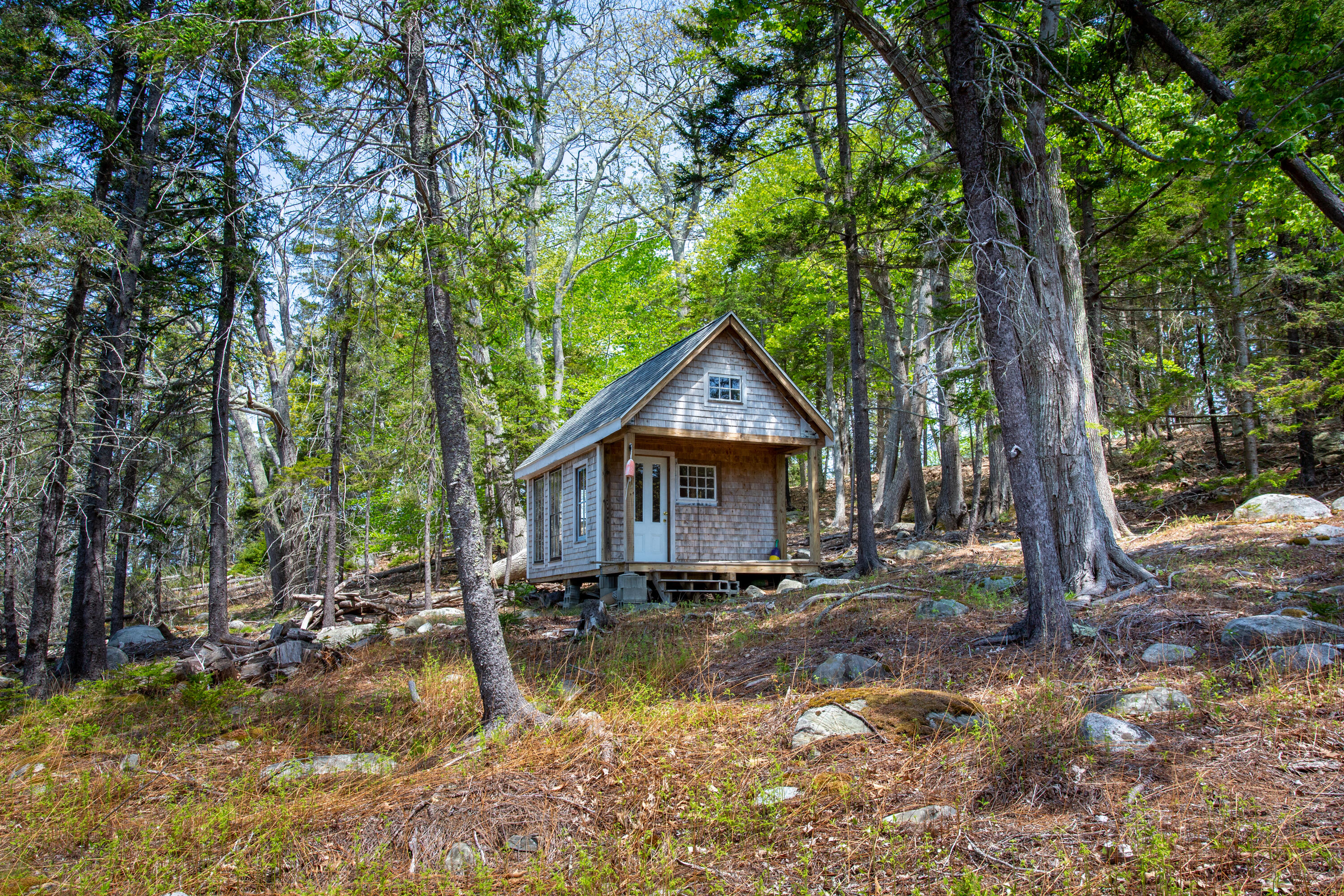 1317 Trim Lane -1