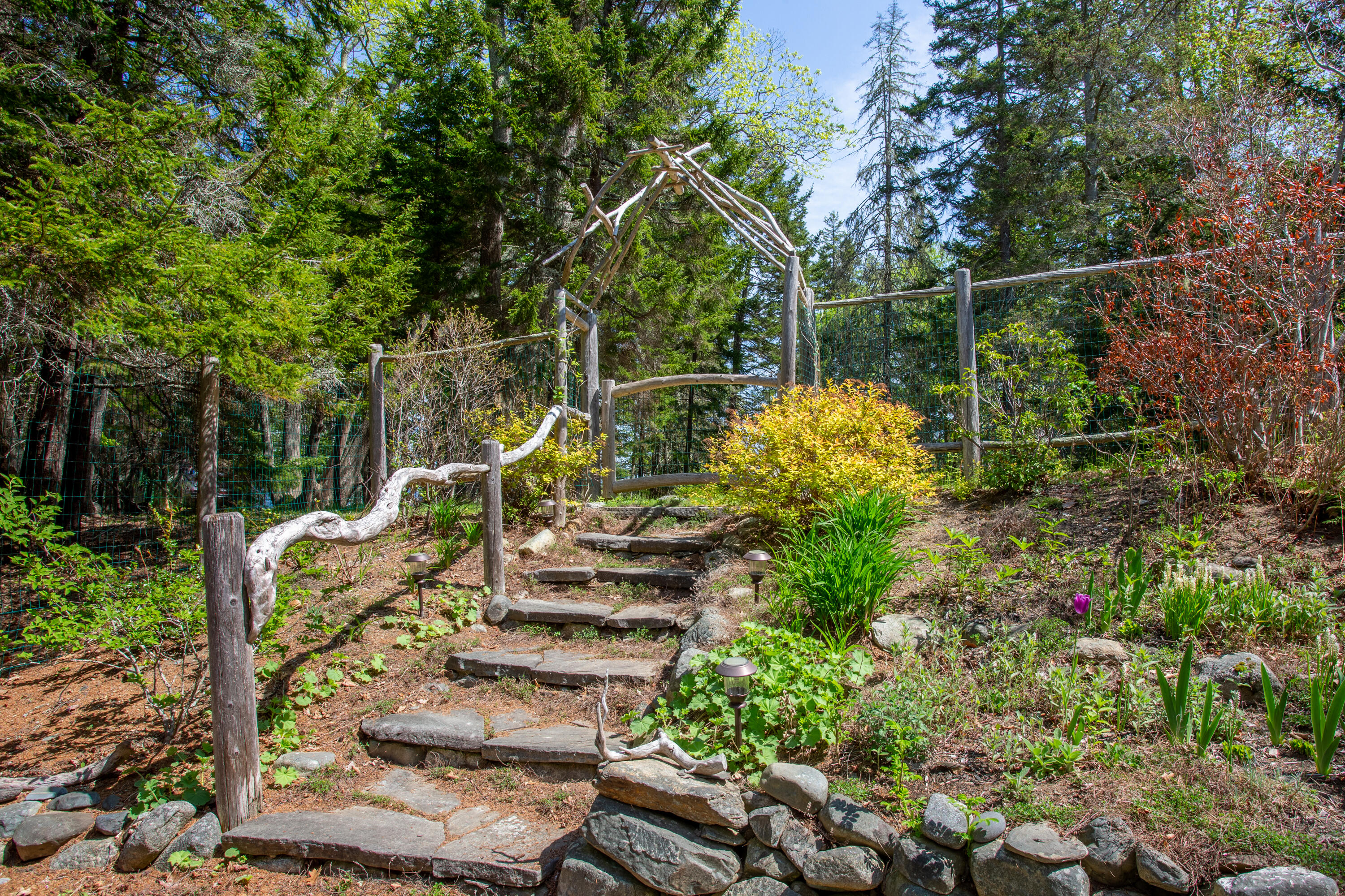 1317 Trim Lane -1