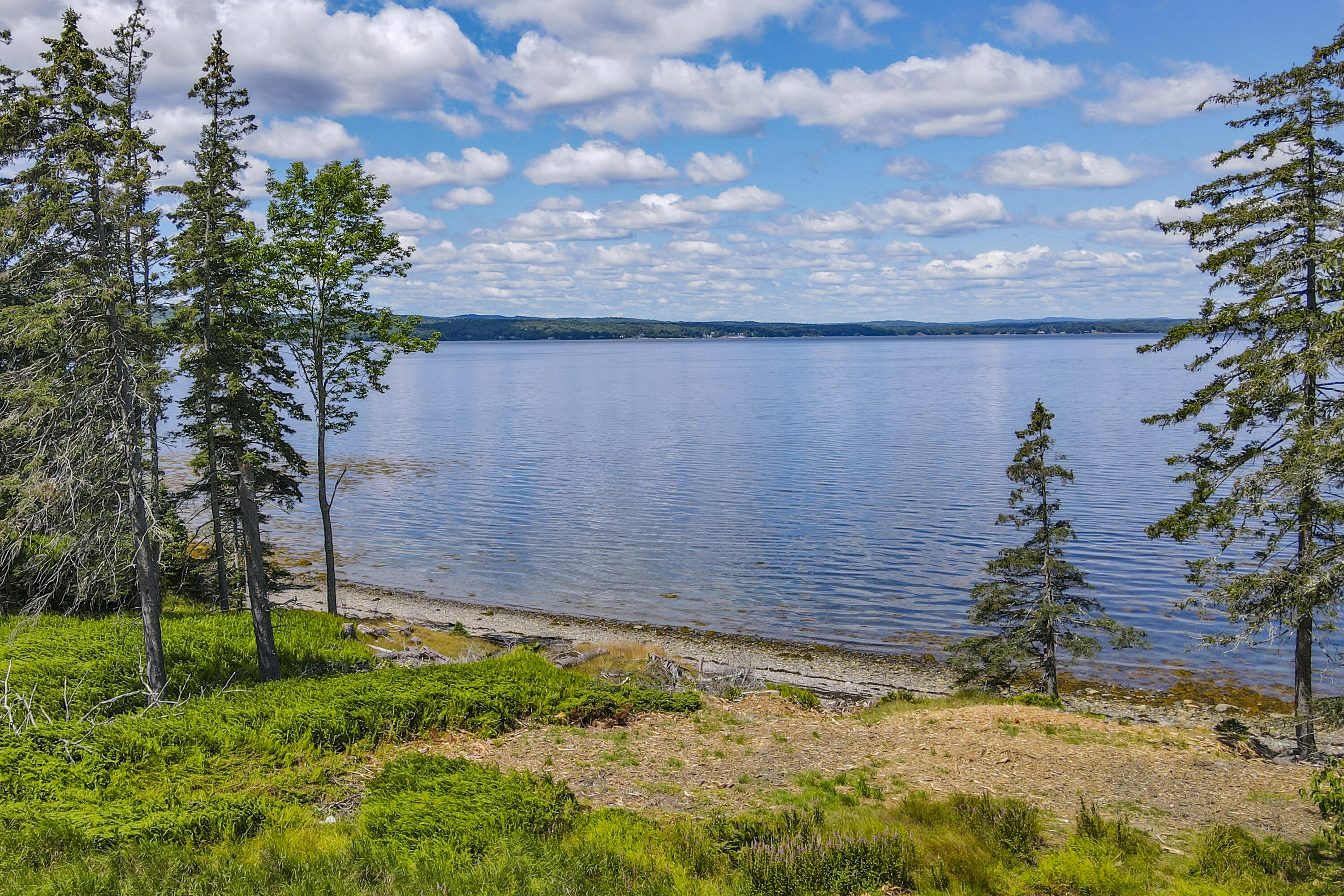 1317 Trim Lane -1