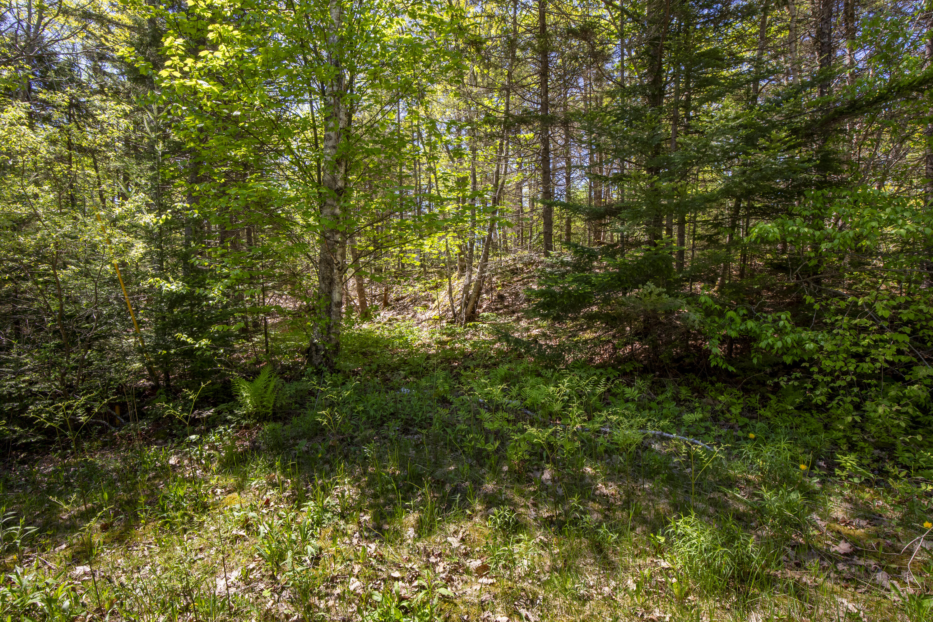 Lot 9 Boulder Hill Road