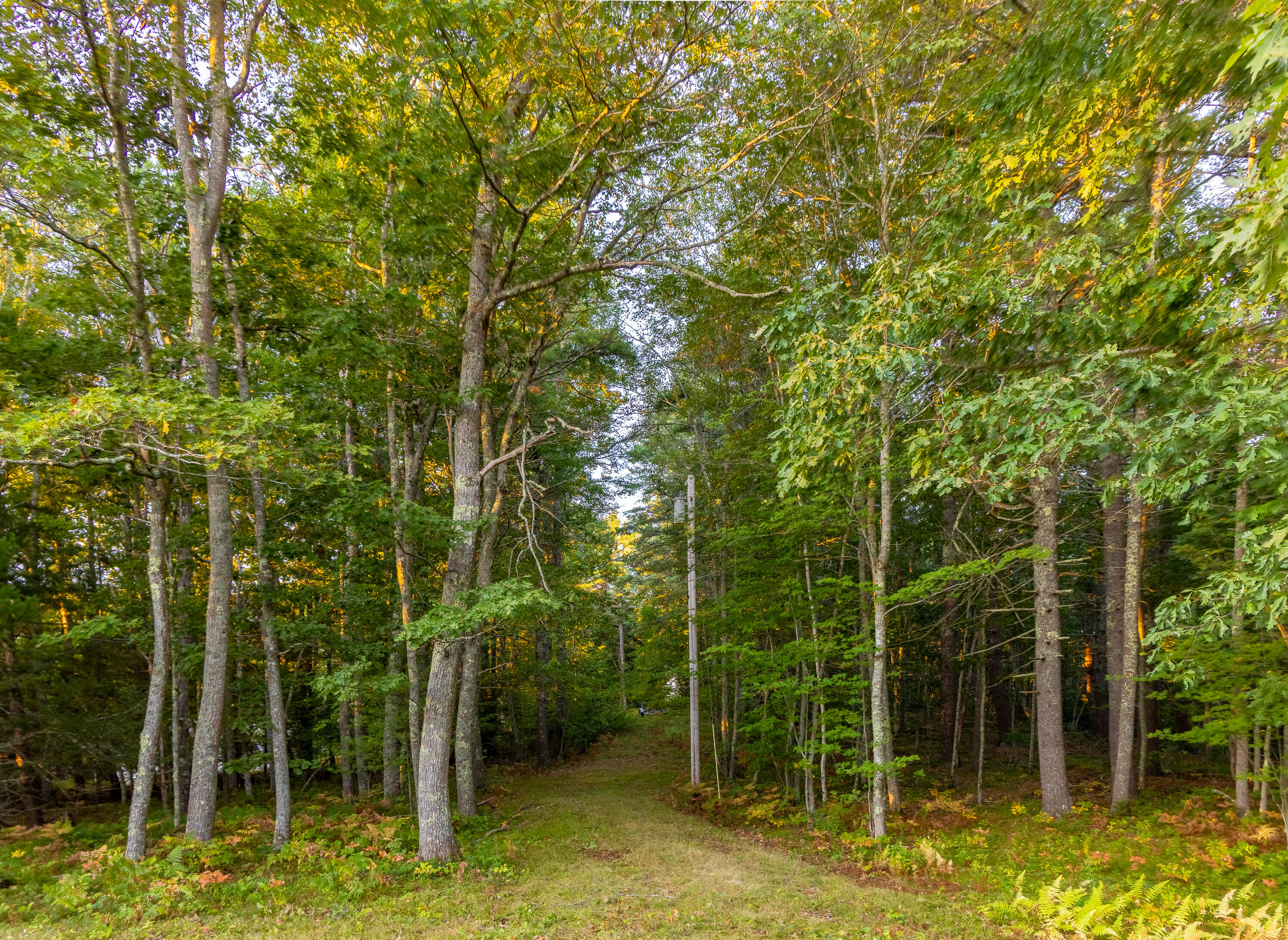 213 Fiddlers Reach Road